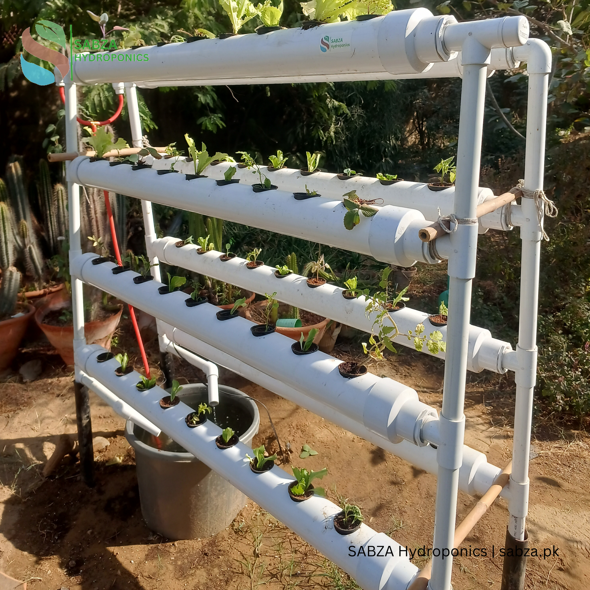 Hydroponic NFT 72 hole Pyramid