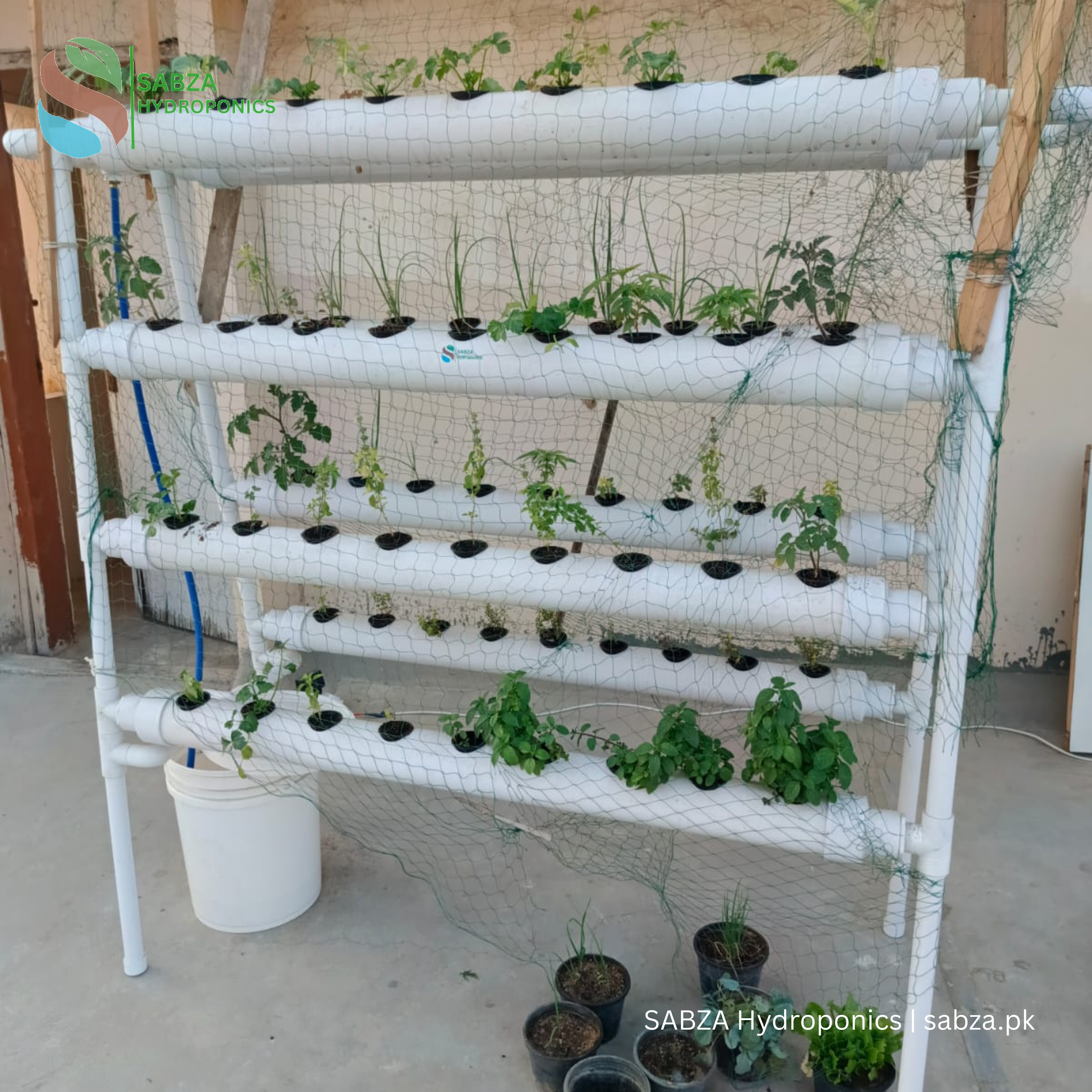 Hydroponic NFT 72 hole Pyramid