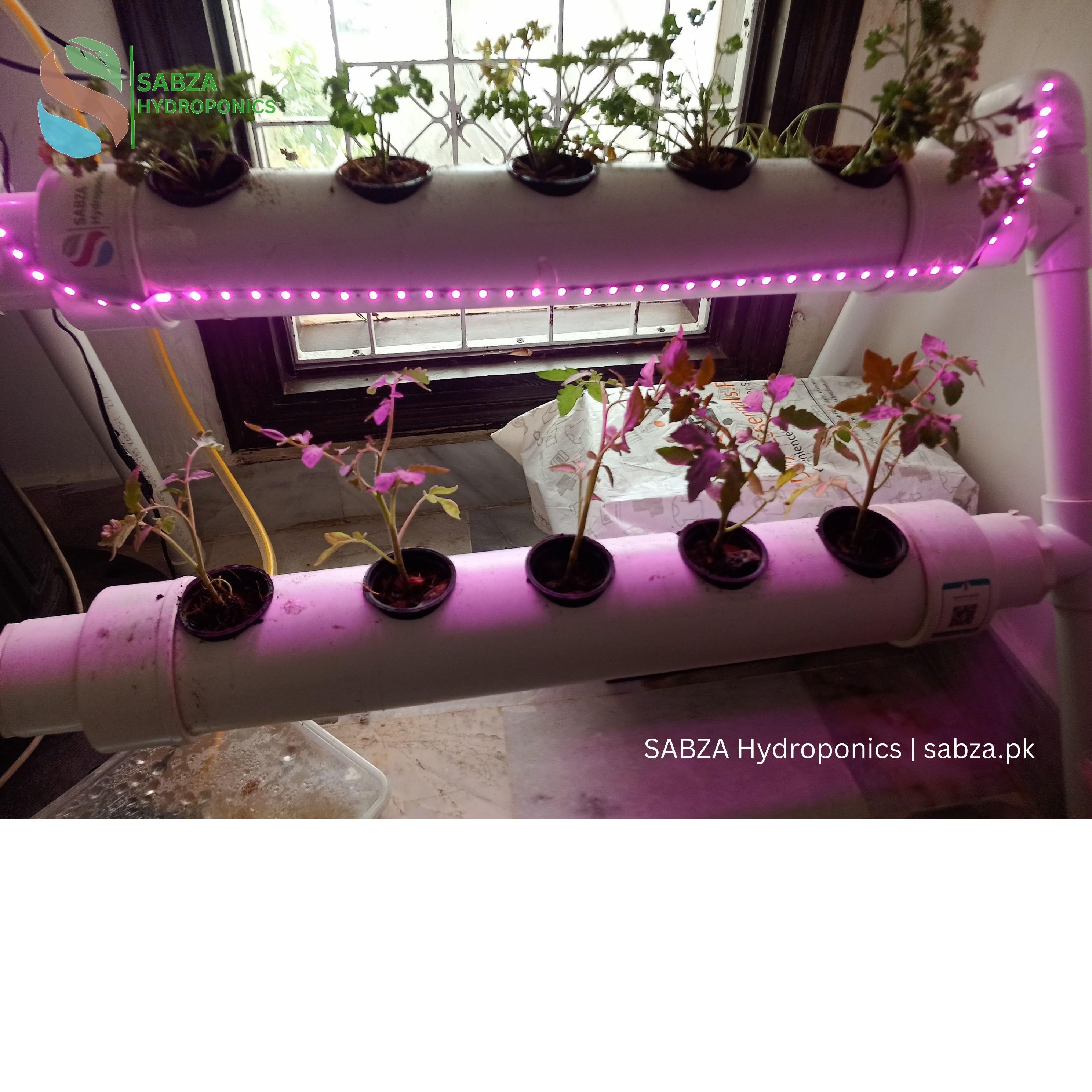 Hydroponic Mini NFT 10 Planting holes