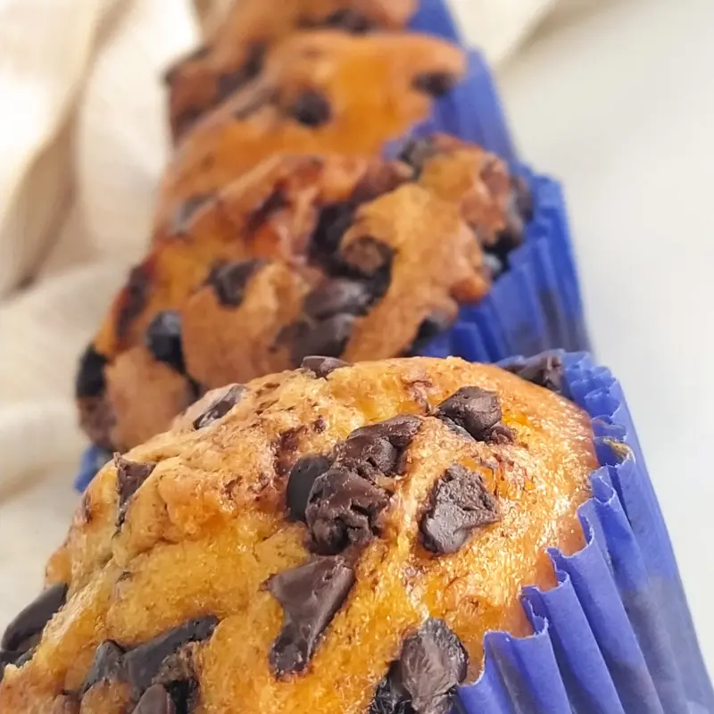 Magdalena con Chispas de Chocolate