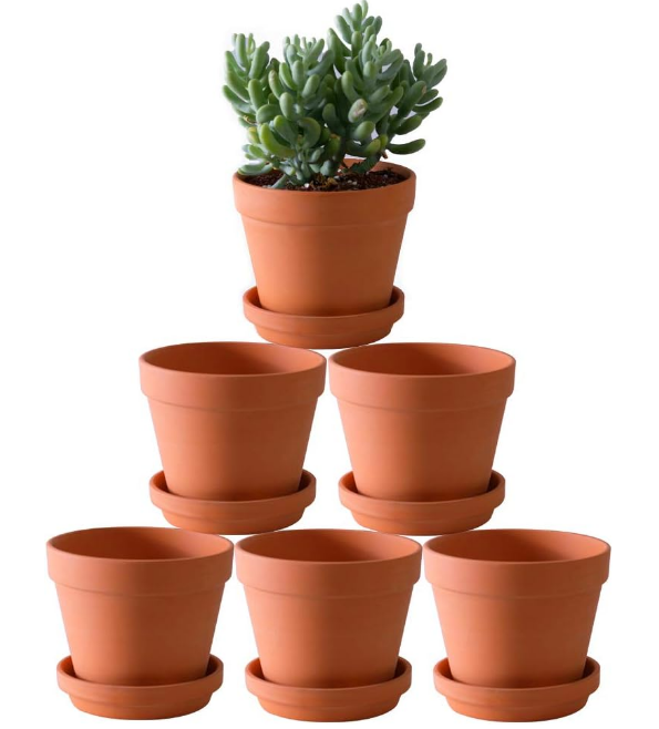 Terra Cotta Pots with Saucer- 6-Pack Large Clay Pots 5.5'' Ceramic Pottery Planter Cactus Flower Succulent Pot with Drainage Hole- Great for Plants,Crafts terra cotta planter
