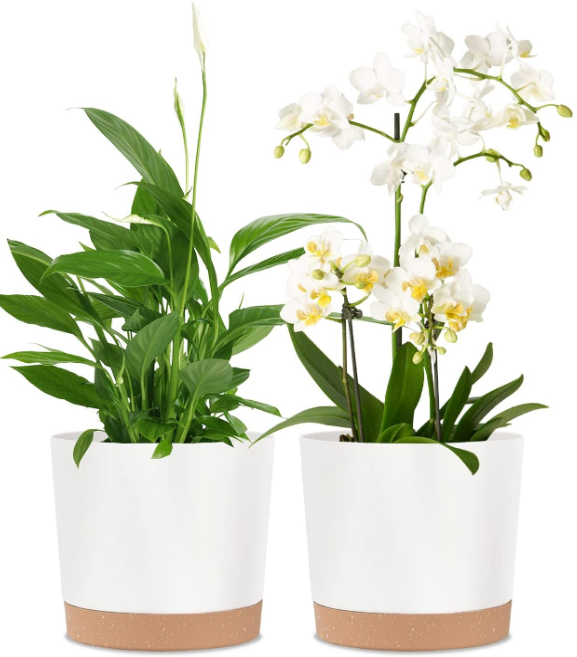 2 Pack 8 Inch Planters for Indoor Plants, Plastic Flower Pots Plant Pots Indoor with Drainage Saucer for Outdoor Garden Home Plant, White 8”