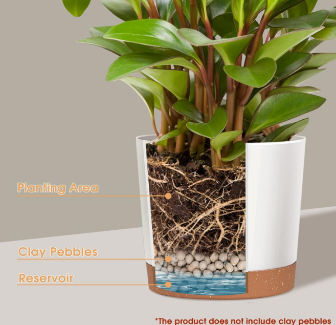 2 Pack 8 Inch Planters for Indoor Plants, Plastic Flower Pots Plant Pots Indoor with Drainage Saucer for Outdoor Garden Home Plant, White 8”