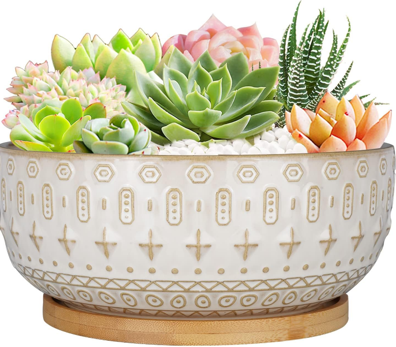 8 Inch Ceramic Succulent Planter Pots with Drainage Hole Flower Pot for Indoor Plants Round Shallow Bonsai Pot with Bamboo Tray White