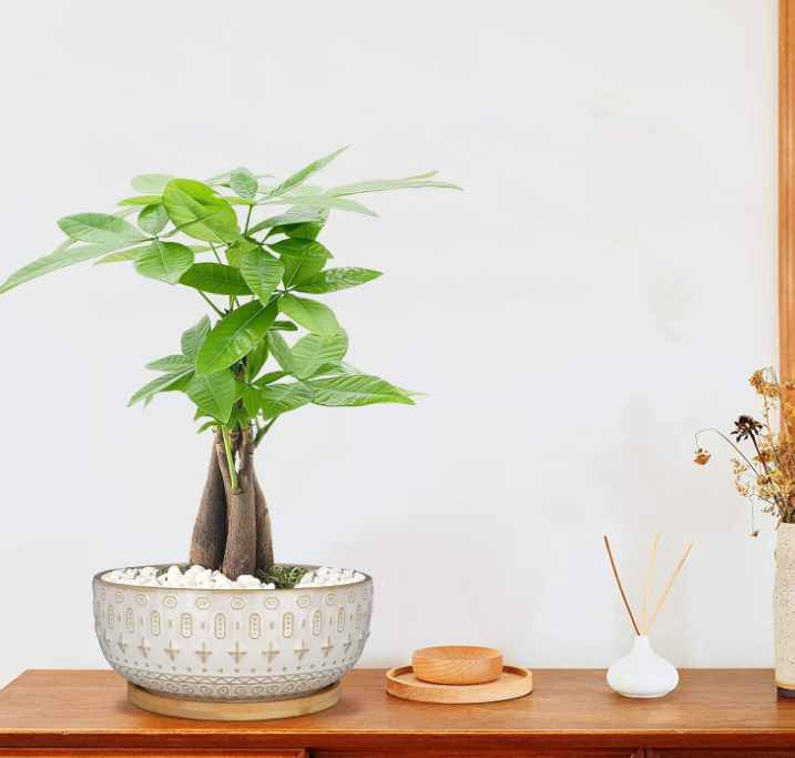8 Inch Ceramic Succulent Planter Pots with Drainage Hole Flower Pot for Indoor Plants Round Shallow Bonsai Pot with Bamboo Tray White