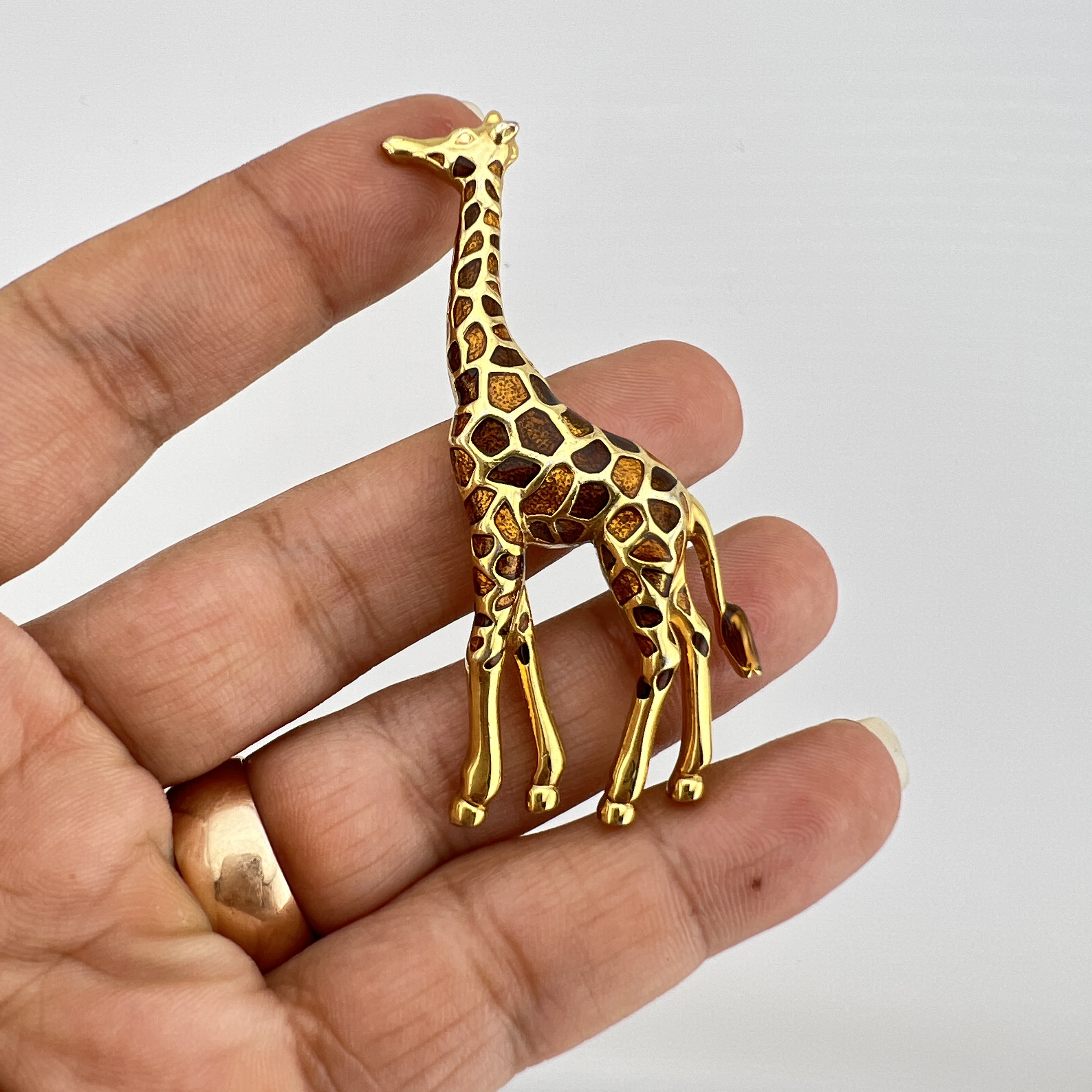 Vintažinė segė „Grakščioji žirafa“ 🦒✨