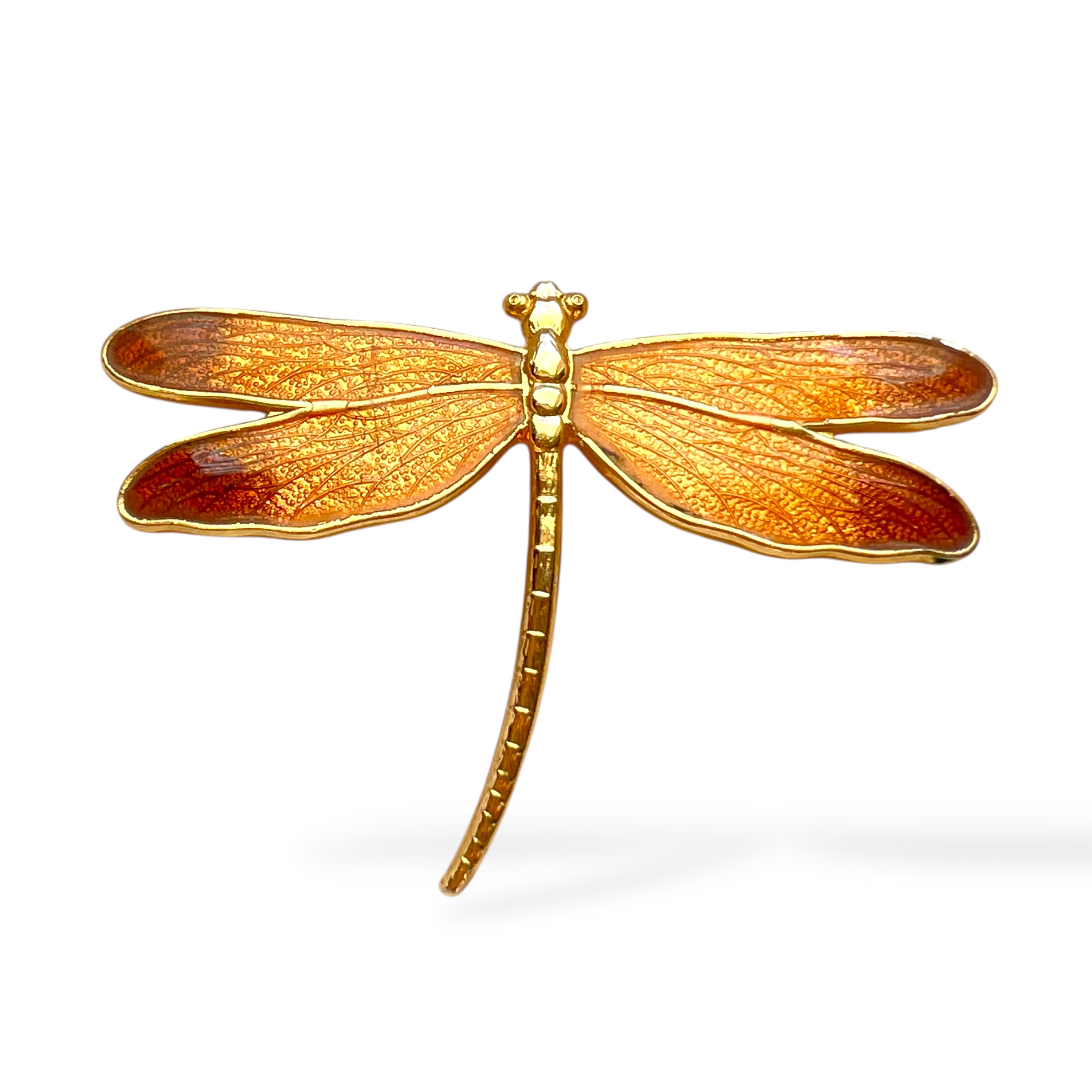 Vintažinė emaliuota laumžirgio sagė