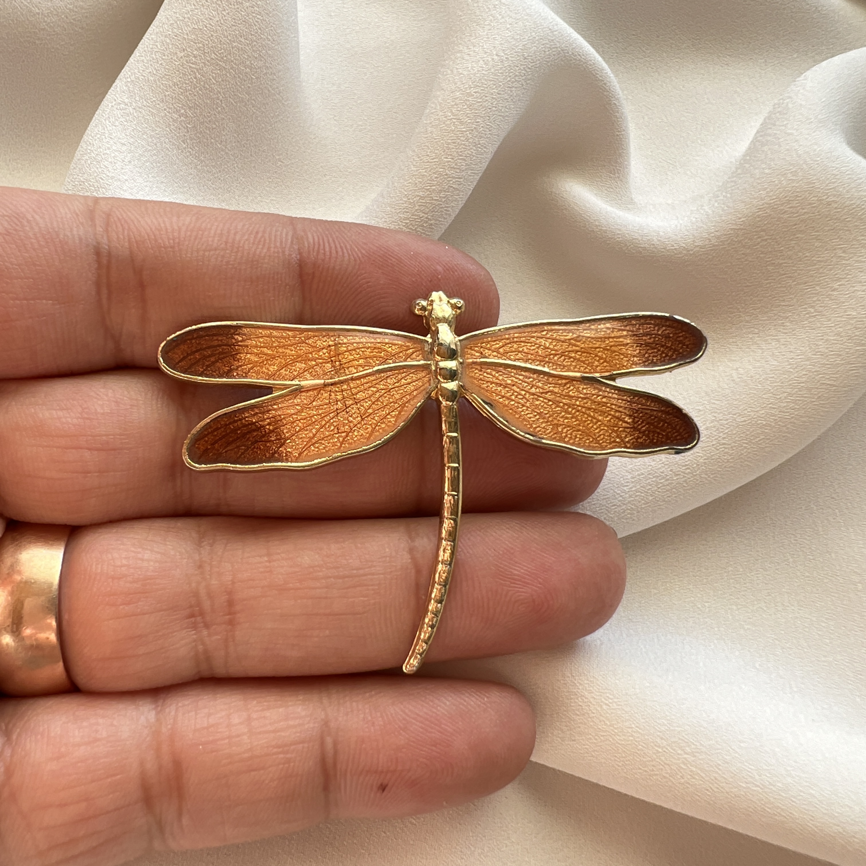 Vintažinė emaliuota laumžirgio sagė