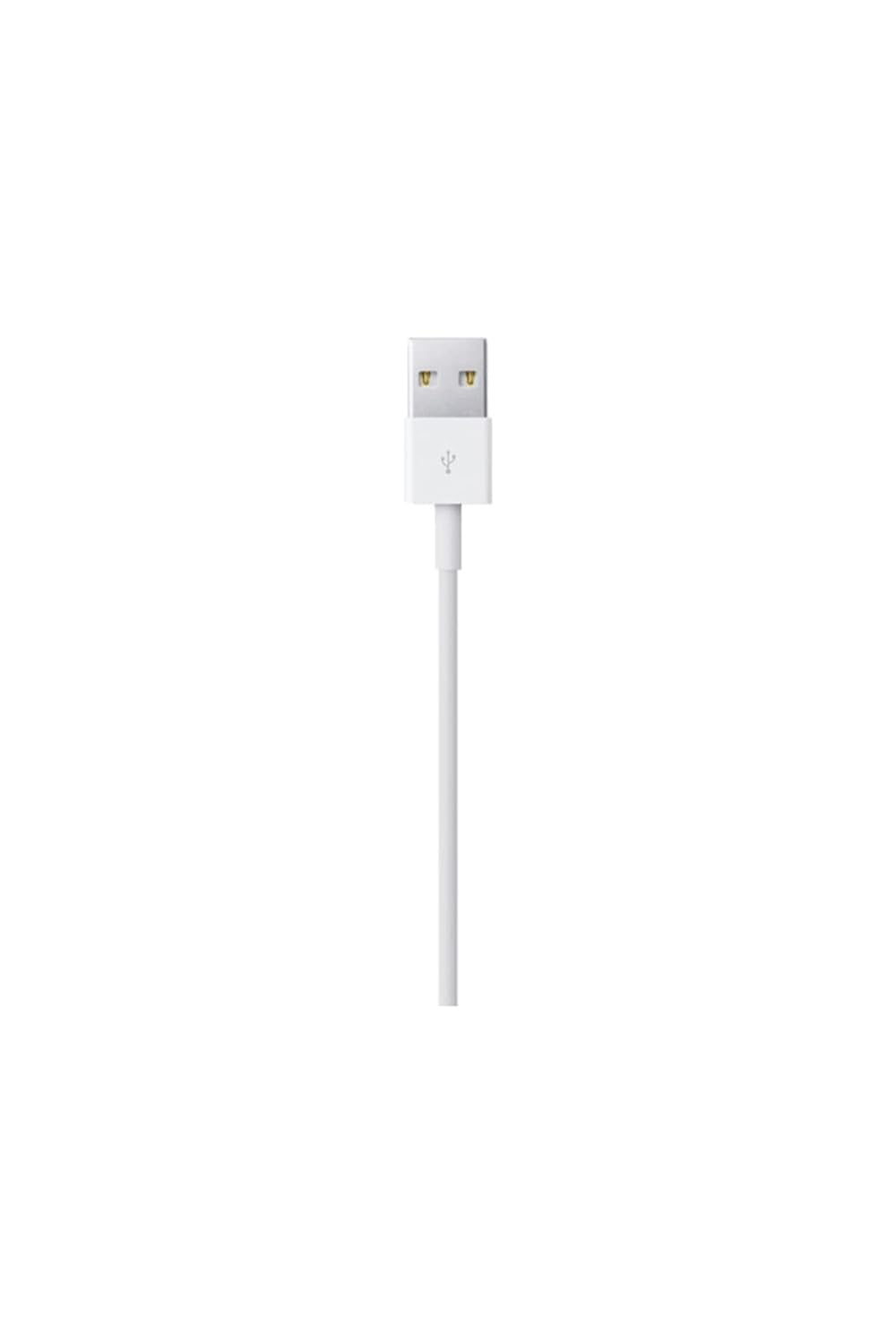 Apple Lightning to USB Cable 1m