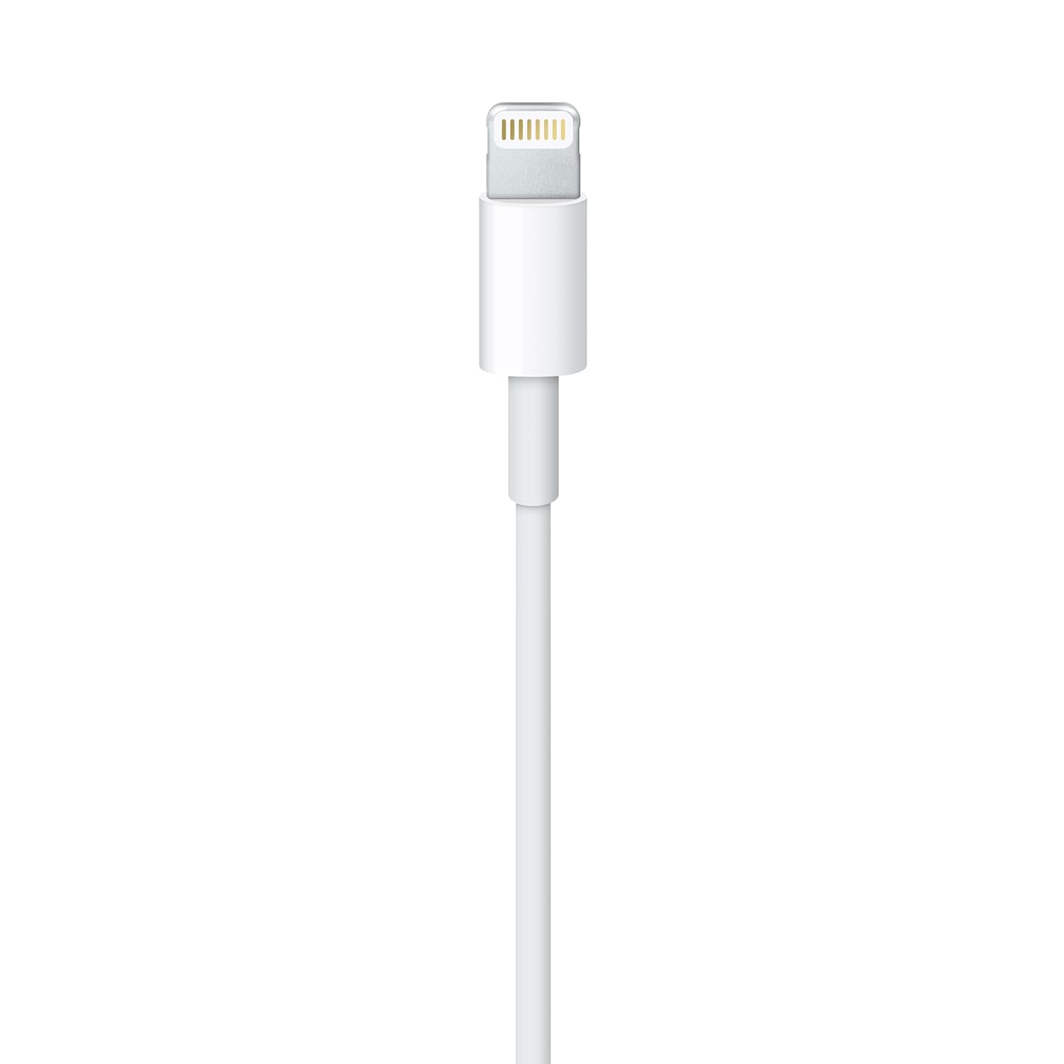 Apple Lightning to USB Cable 1m