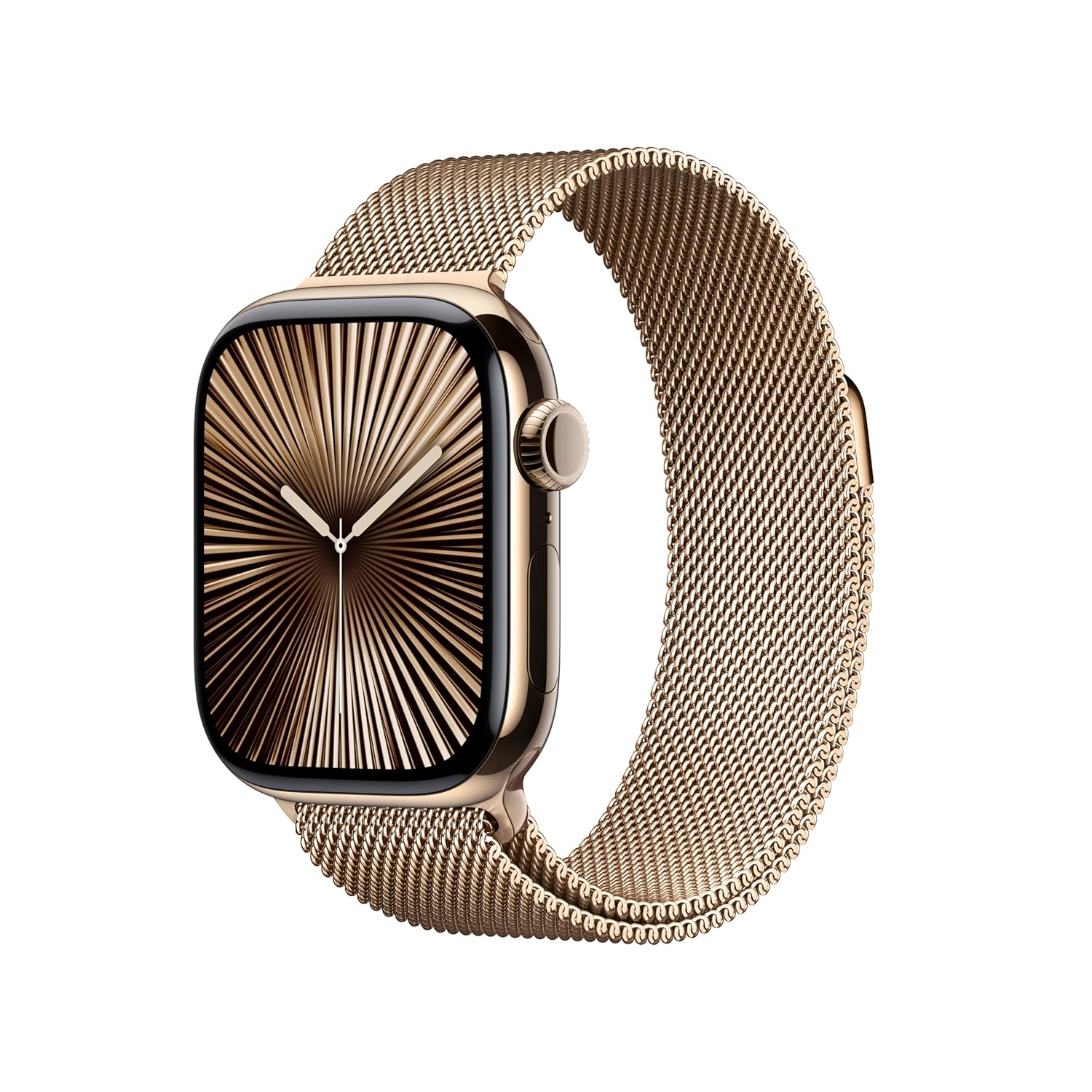Watch Series 10 GPS + Cellular 42 mm