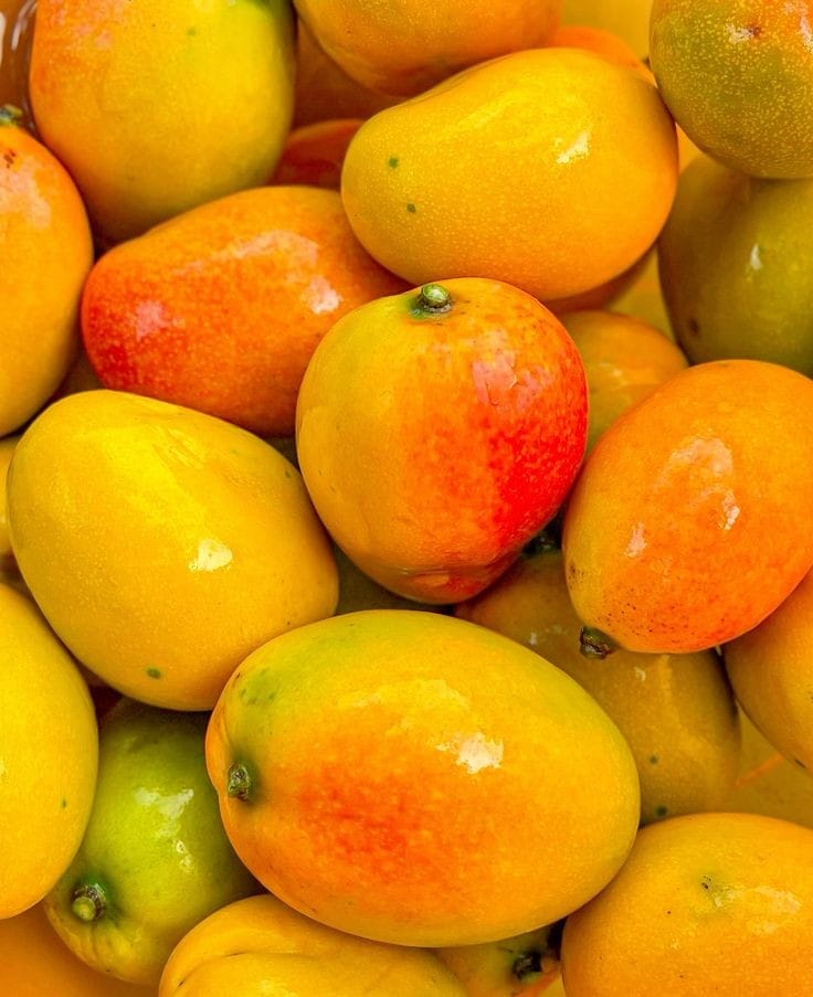 Mangos