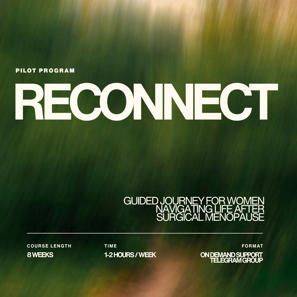 RECONNECT