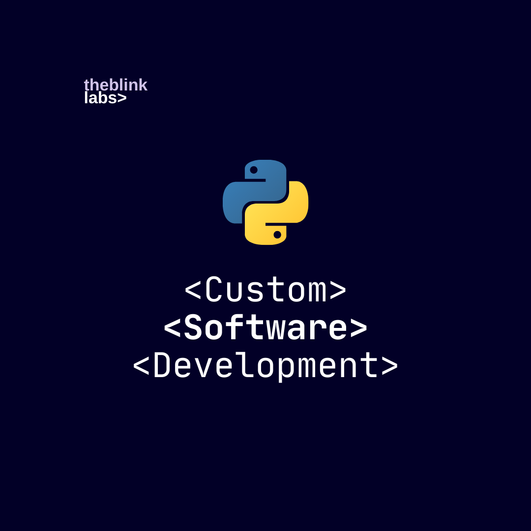 Custom Software Development Package