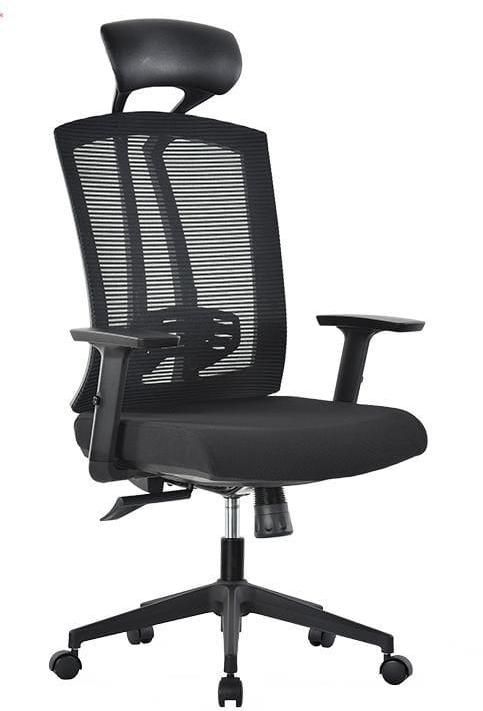 Premium Ergonomic Mesh Office Chair with Adjustable Lumbar Support