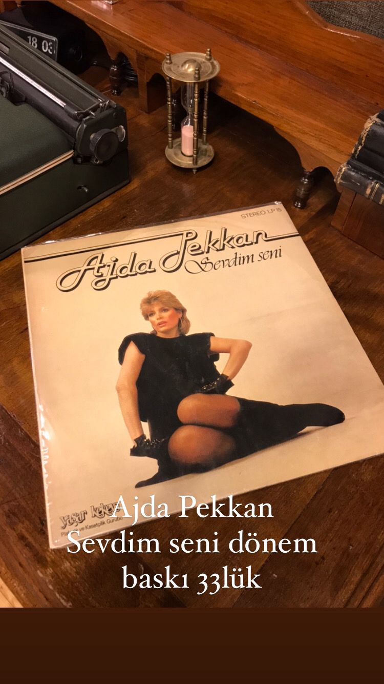 Ajda Pekkan Sevdim Seni Long Play