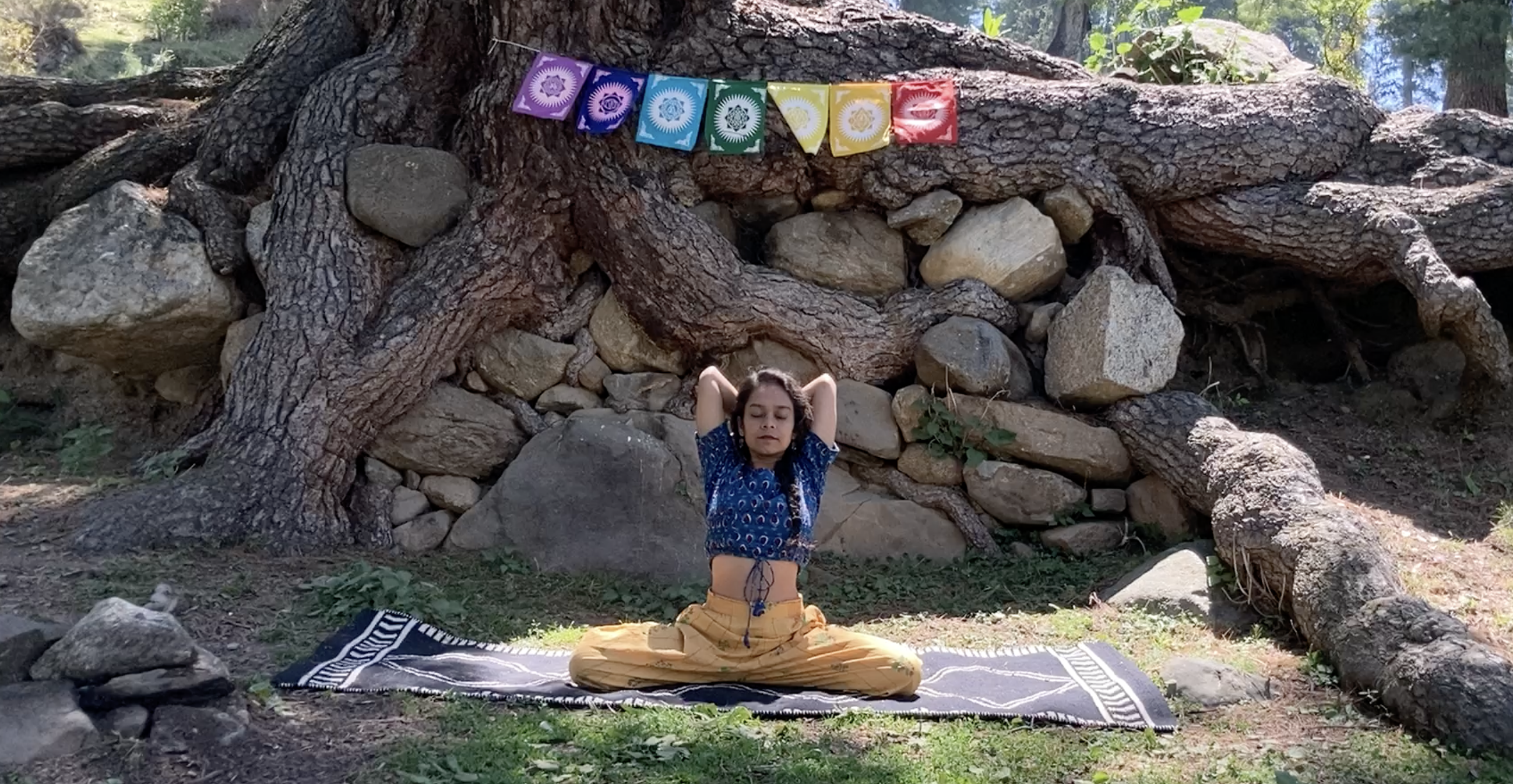 Online Yoga Course (Recorded) COMING SOON