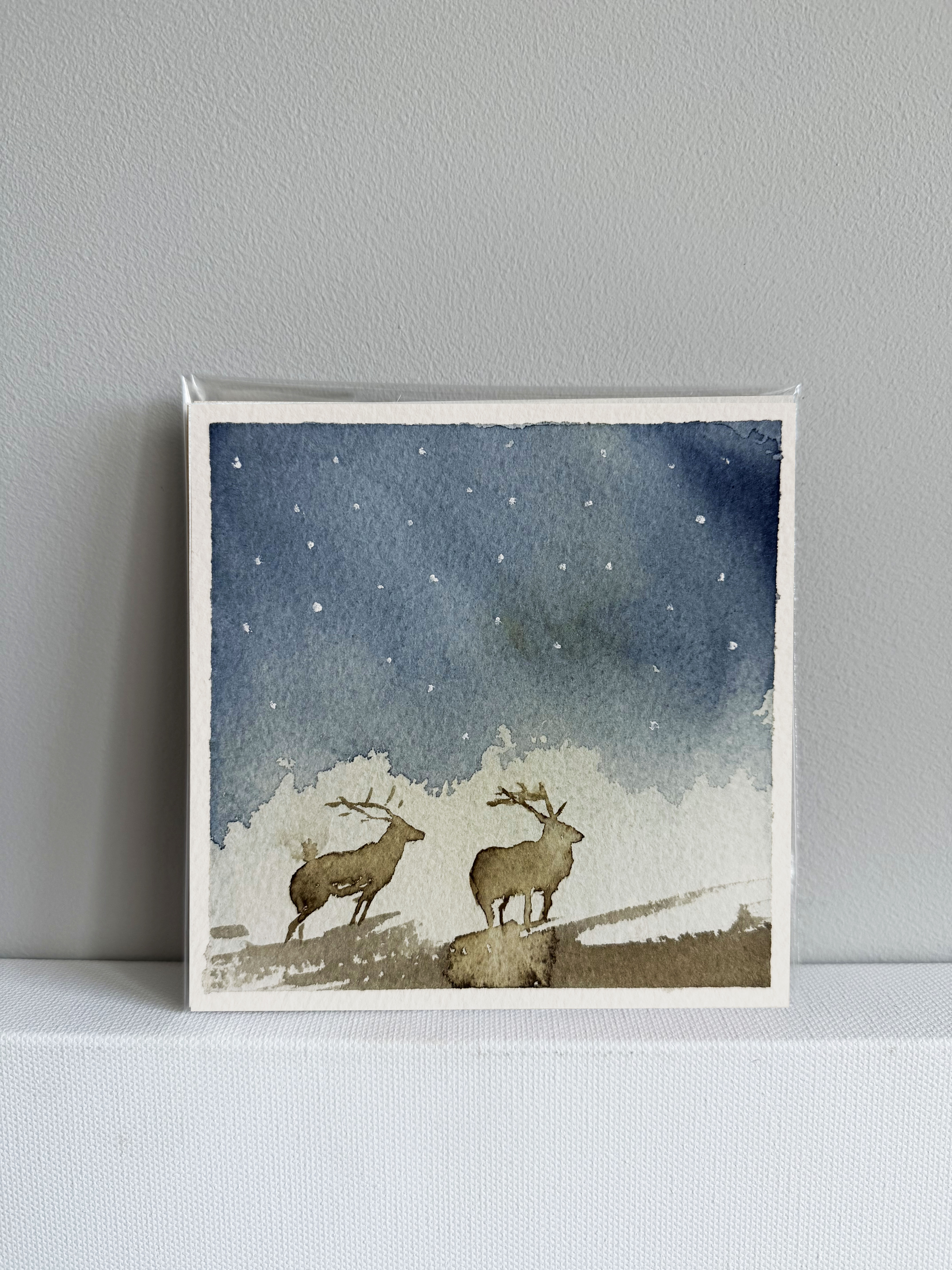 Elniai po žvaigždėtu dangumi