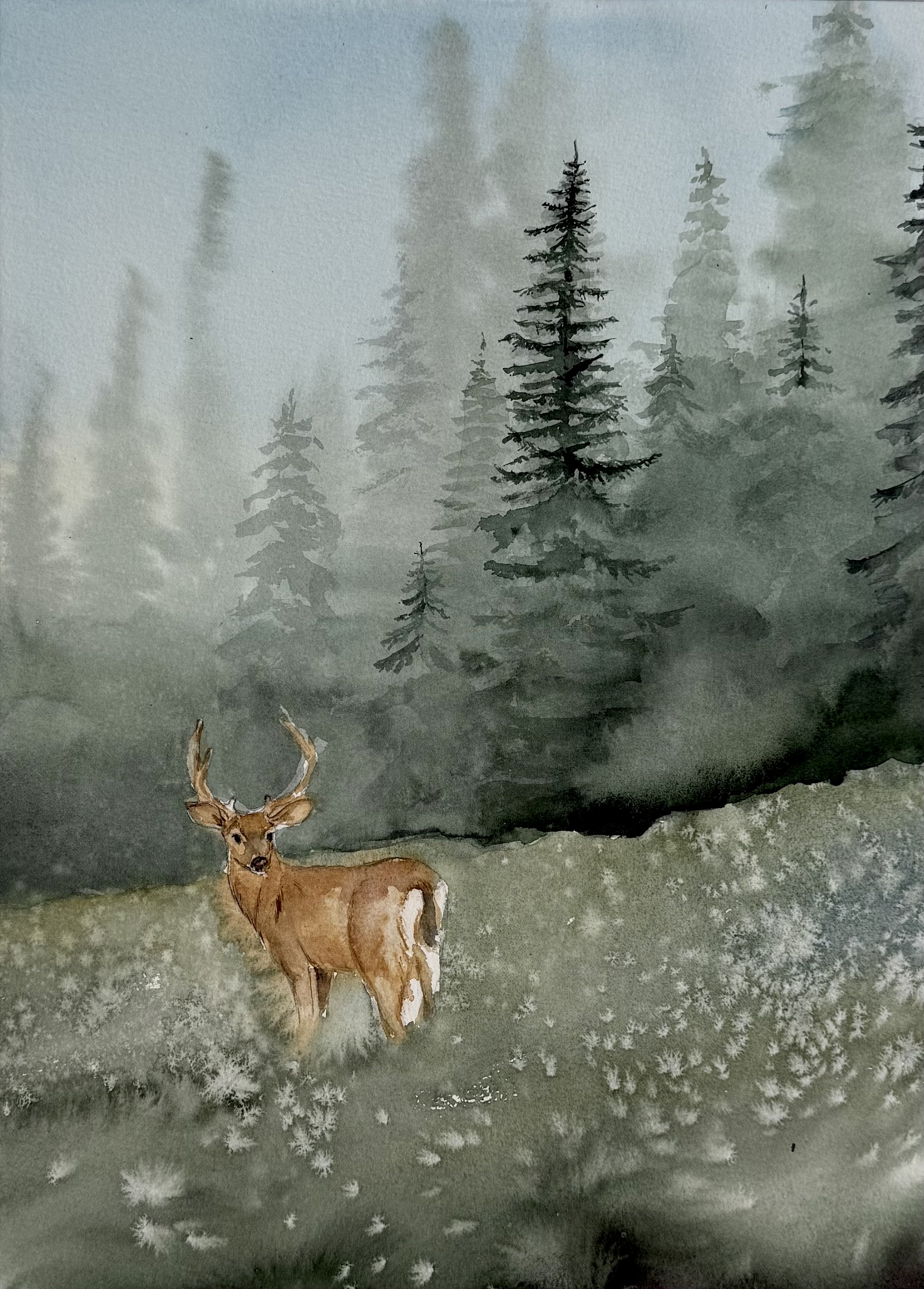 Vienas gamtoje. Elnias