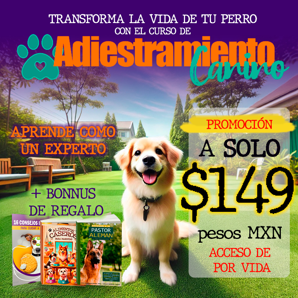Video Curso Adiestramiento Canino