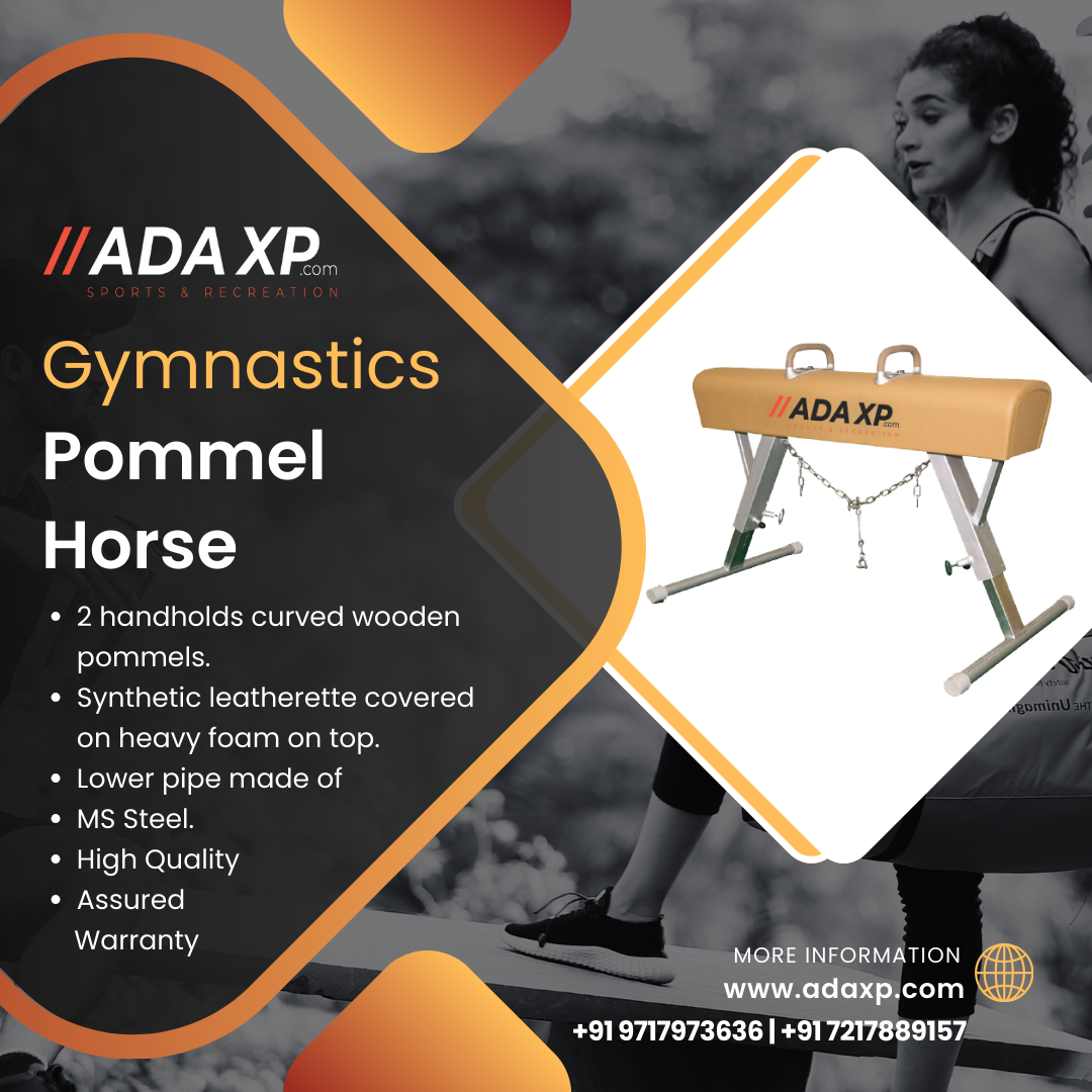Gymnastics Pommel Horse