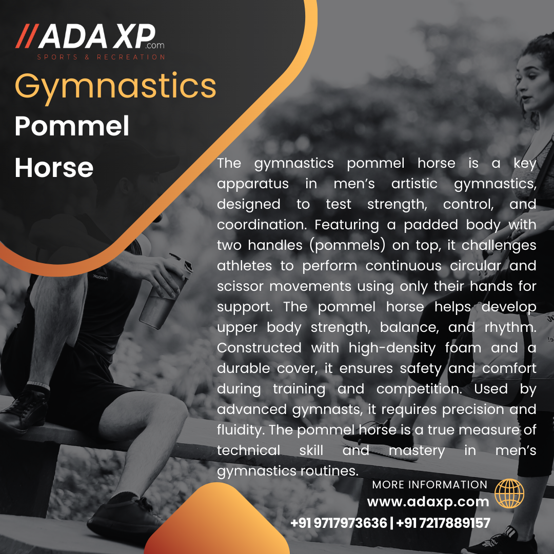 Gymnastics Pommel Horse