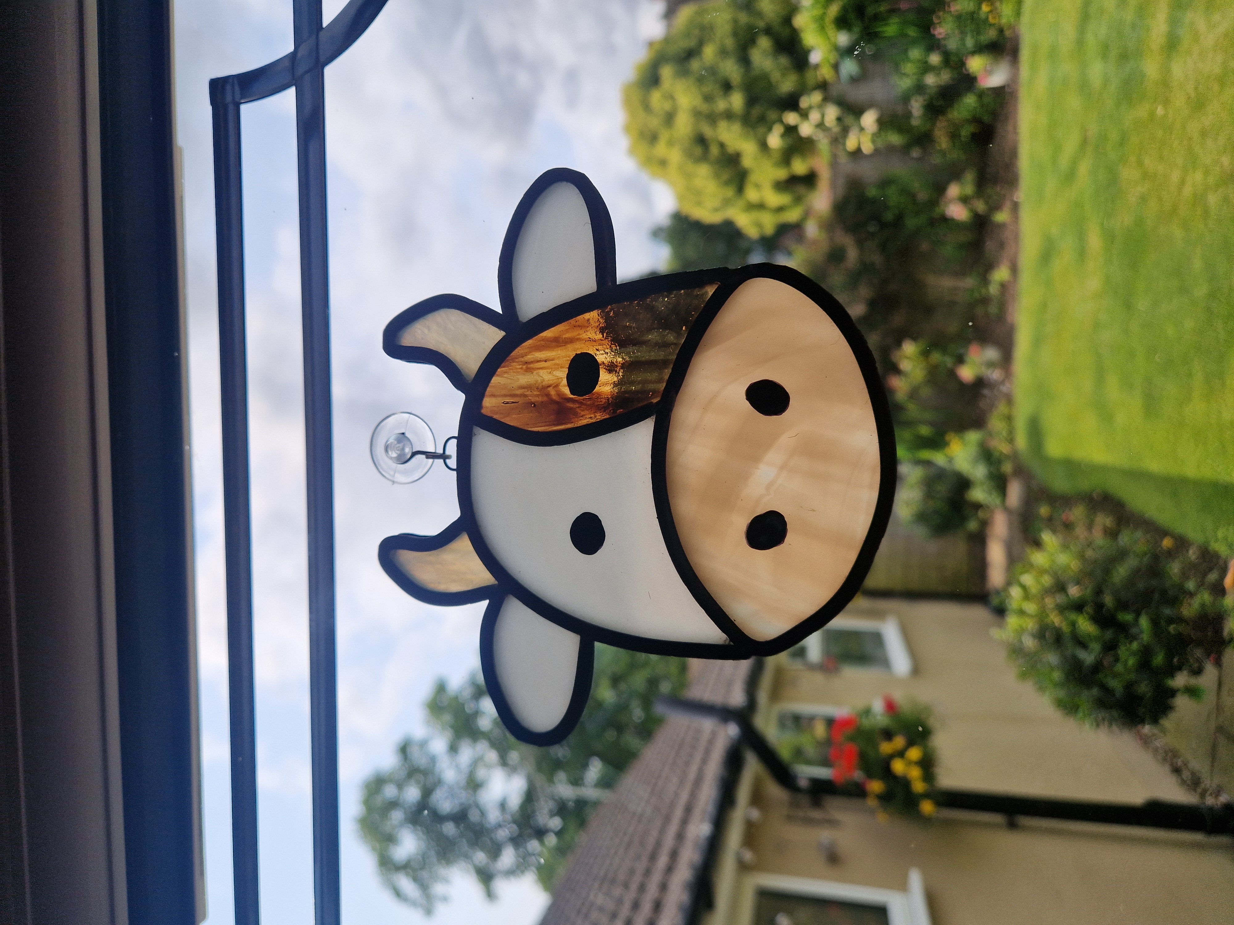 Cow