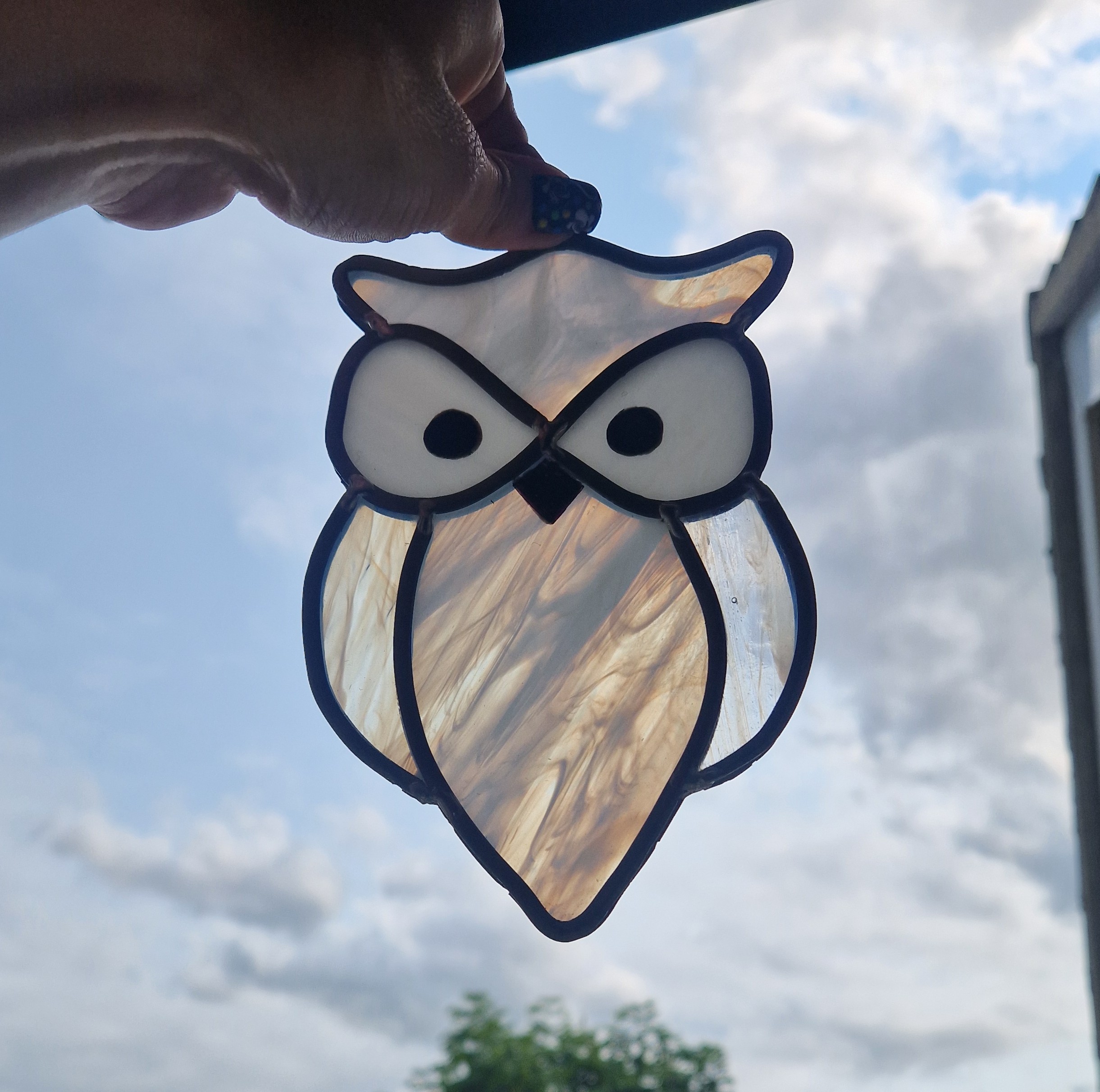 Owl