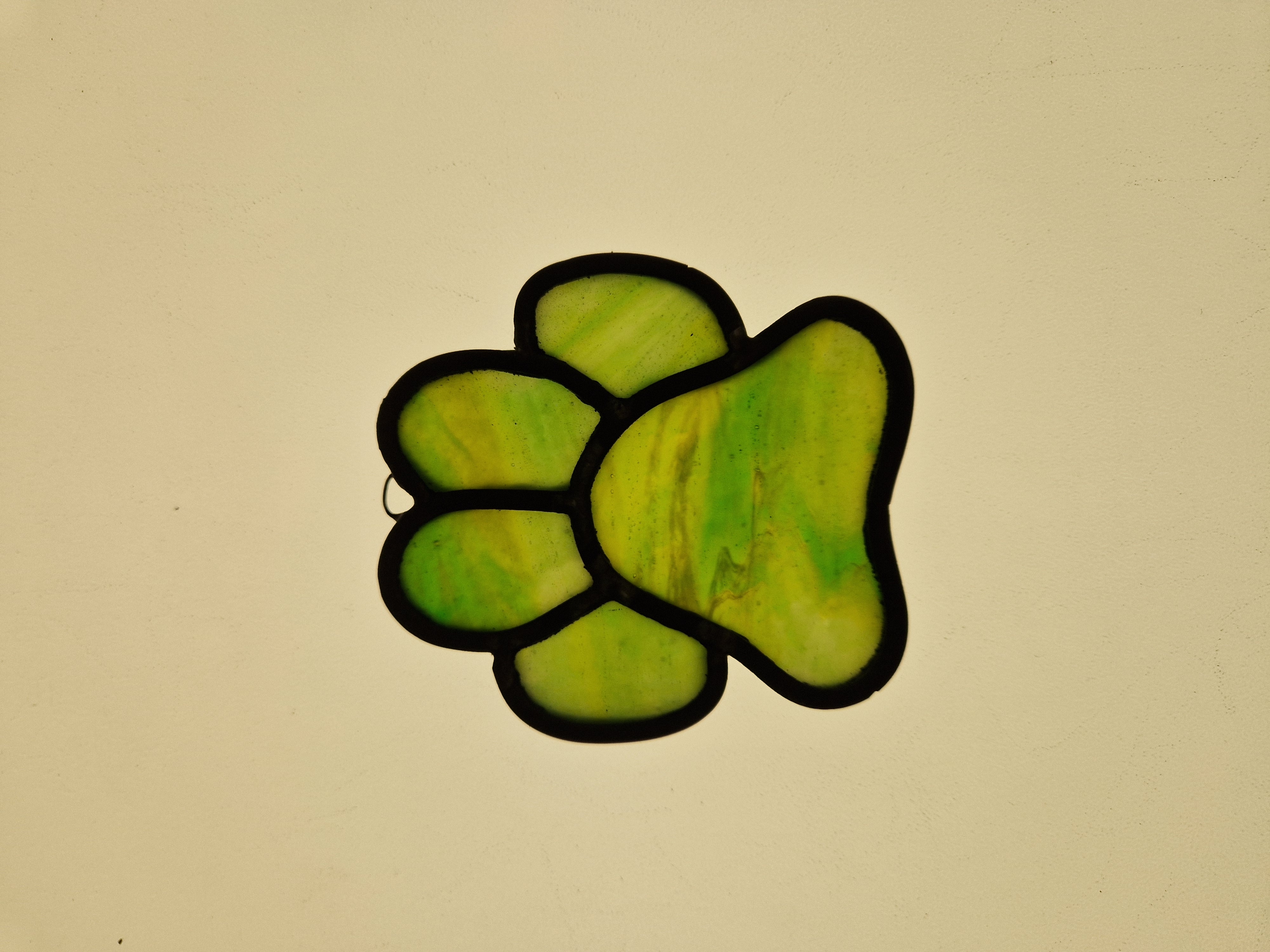 Paw
