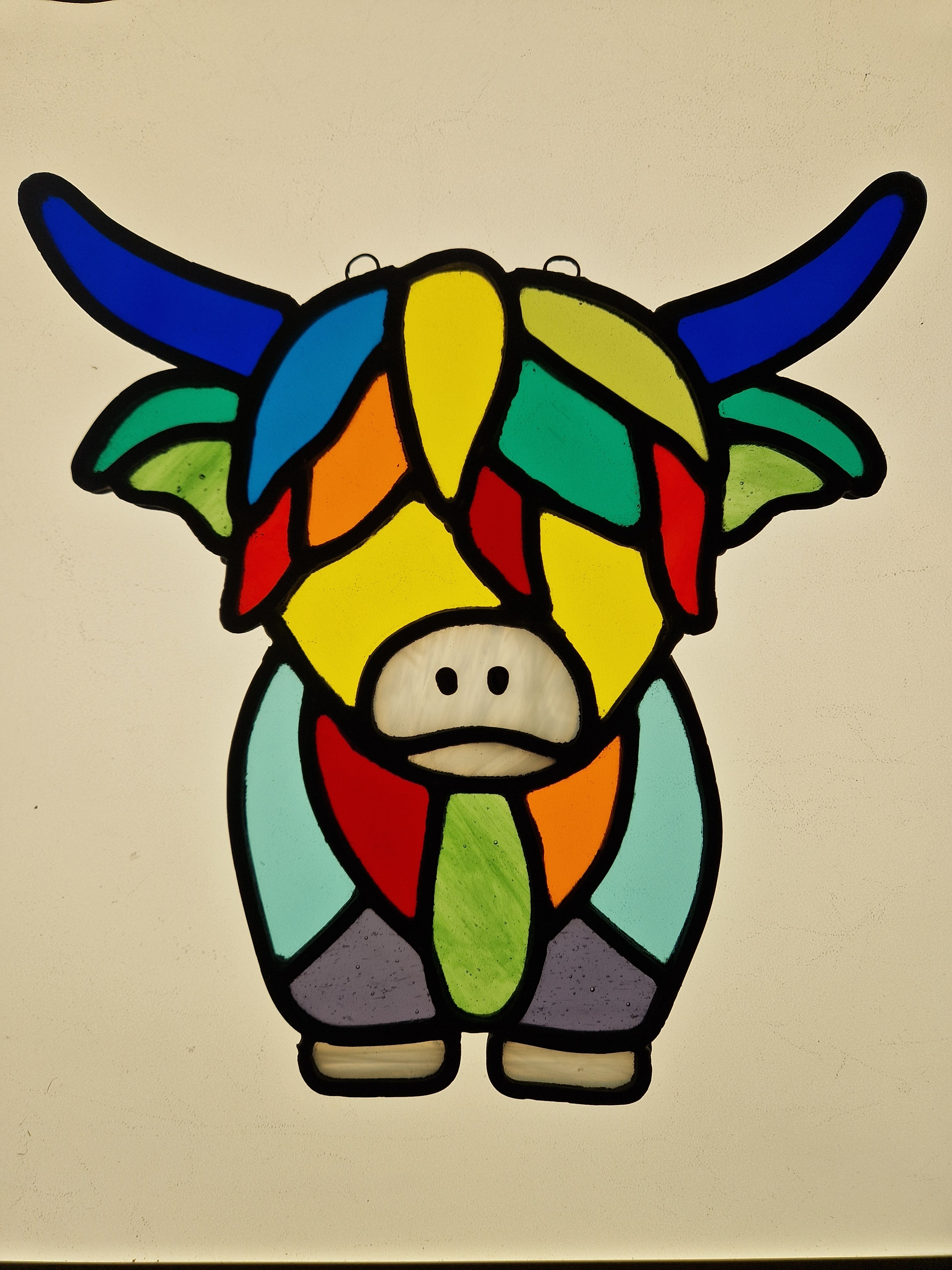 Full Coloured highland Cow