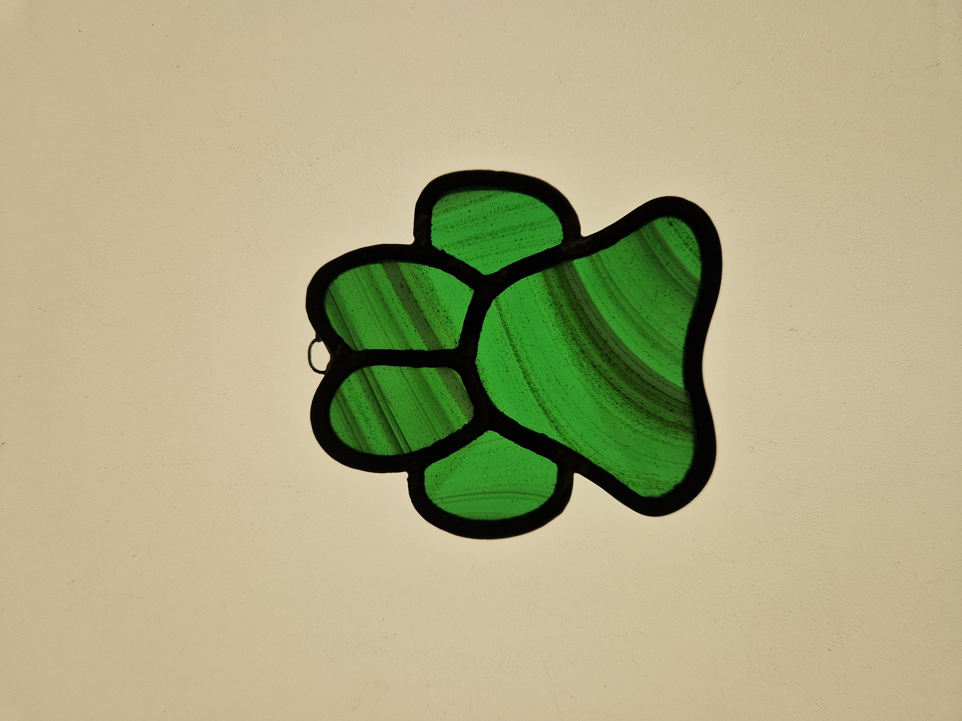 Paw