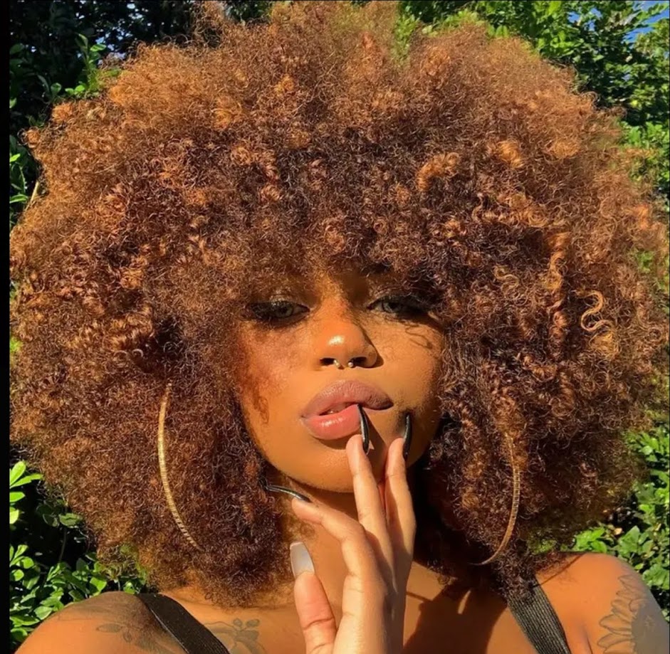 Perruque afro bouclée