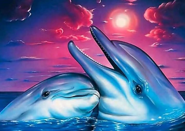 ,,Делфини,,код:8397