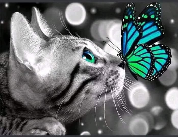 ,Коте с пеперуда,,код:7226