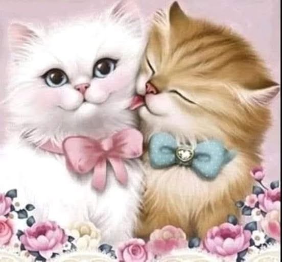 ,,Котенца,,код:7060
