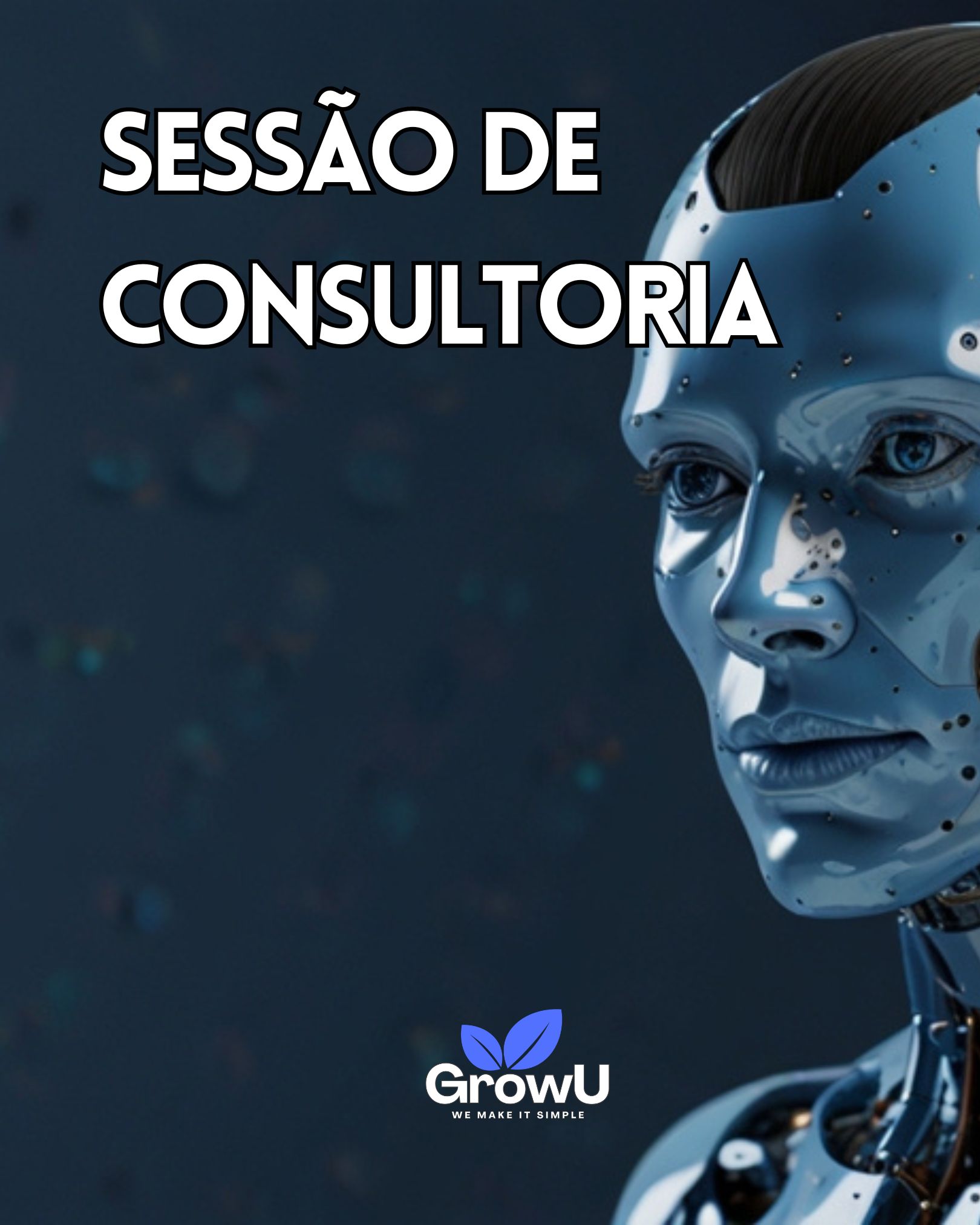 Sessão de Consultoria