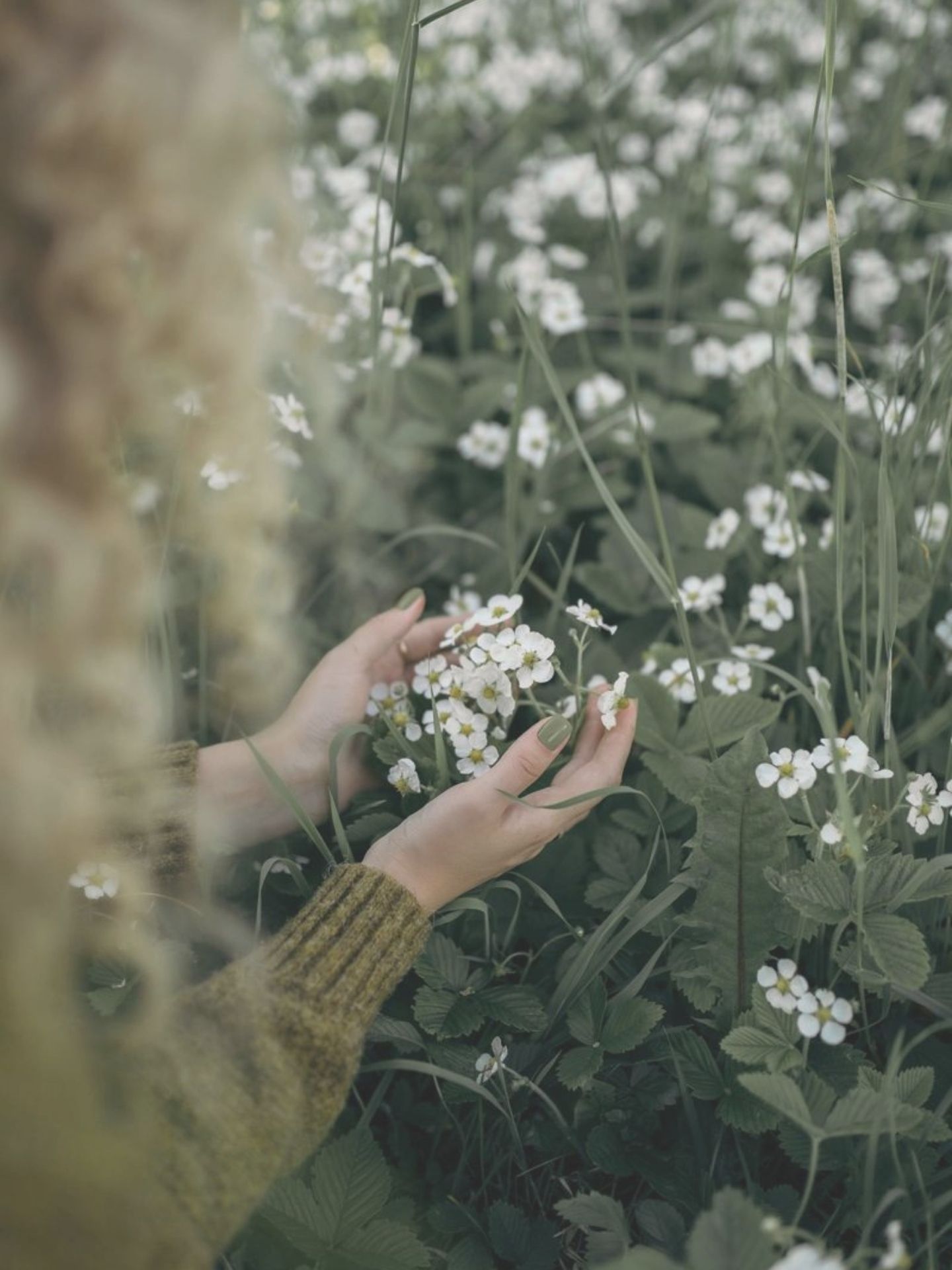Paskaita ir meditacija pagal MINDFULNESS principus