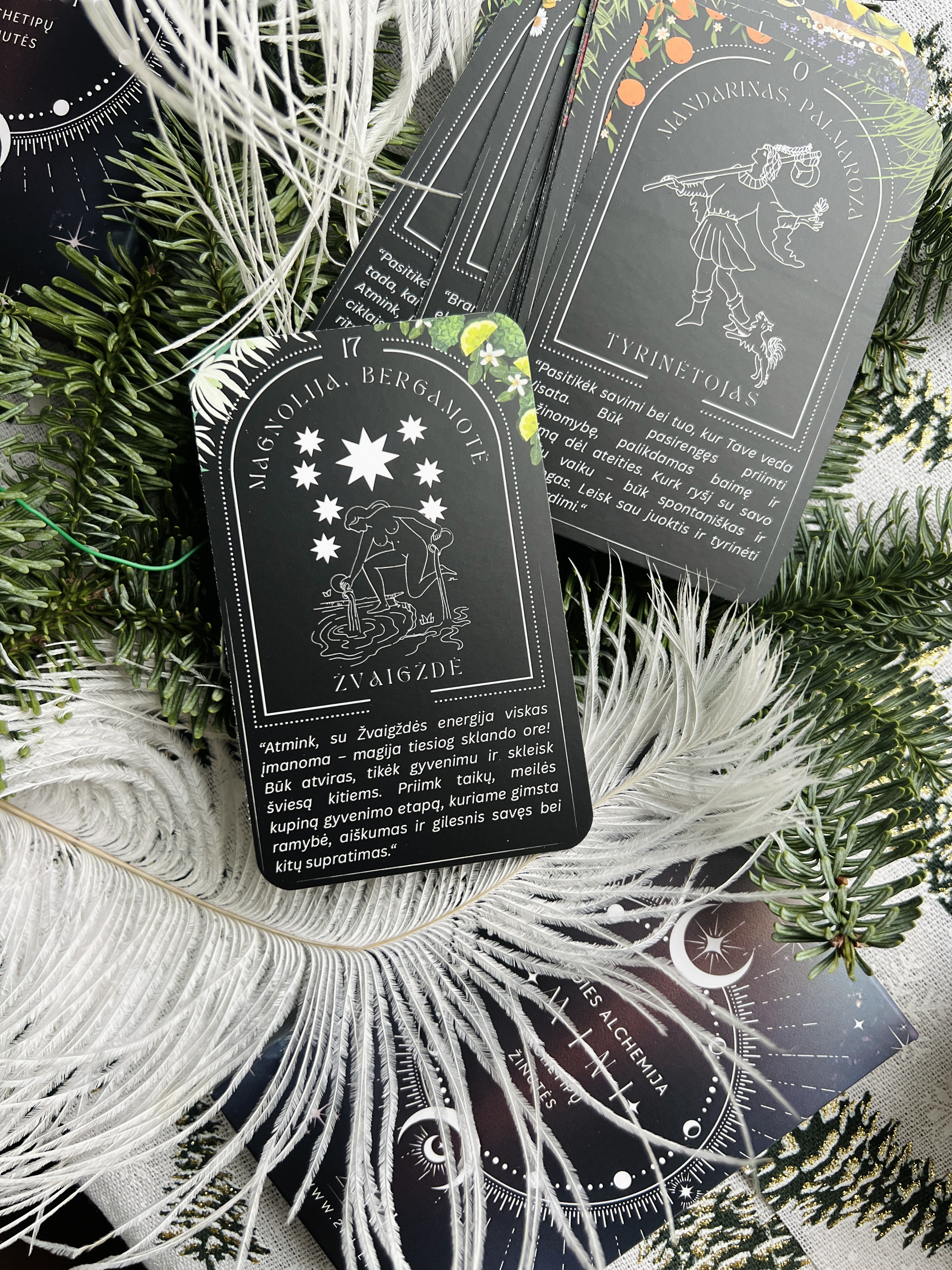 širdies alchemija MINI taro archetipų kortos