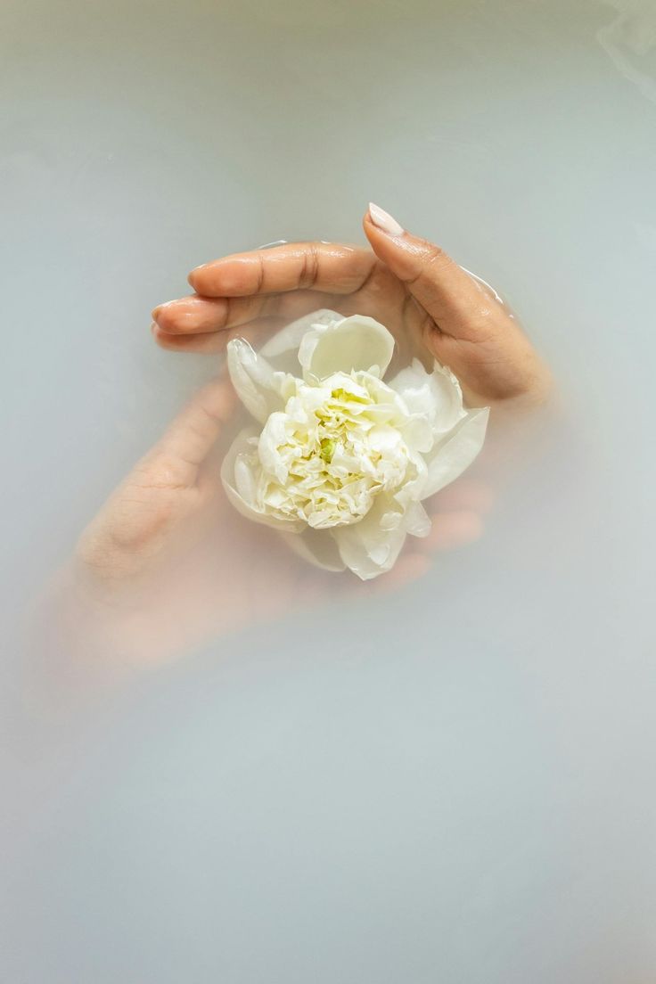 GAUSA meditacija ir samprata