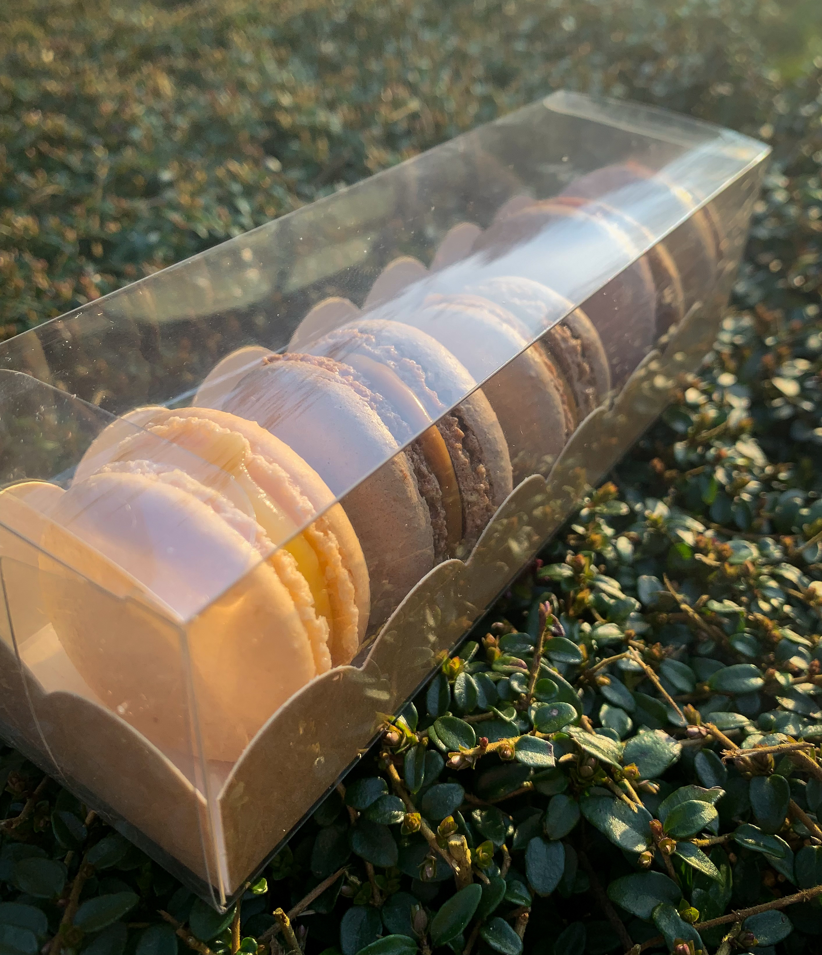 Le coffret de macarons (X6)