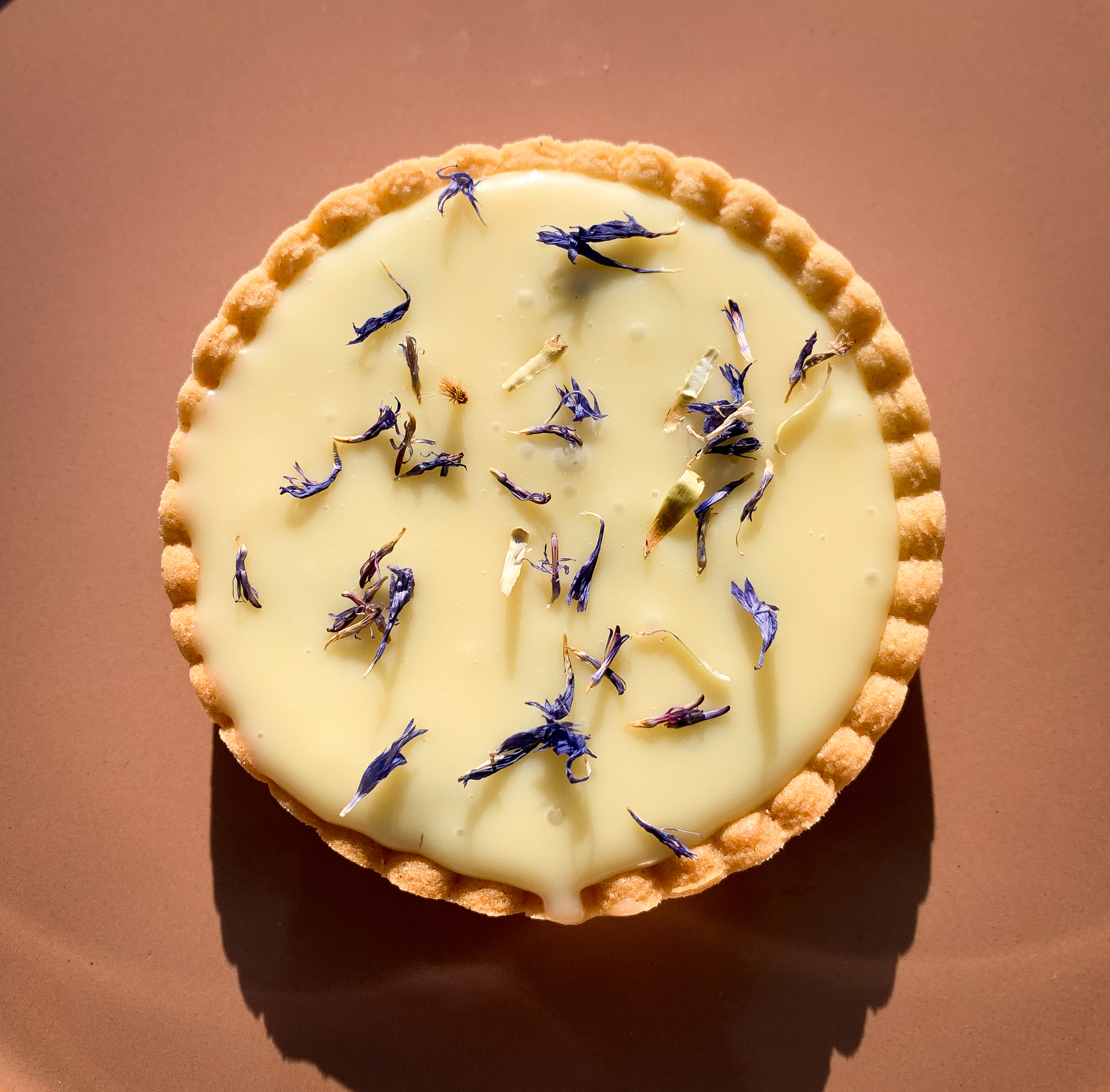 Tartelette violette / myrtille