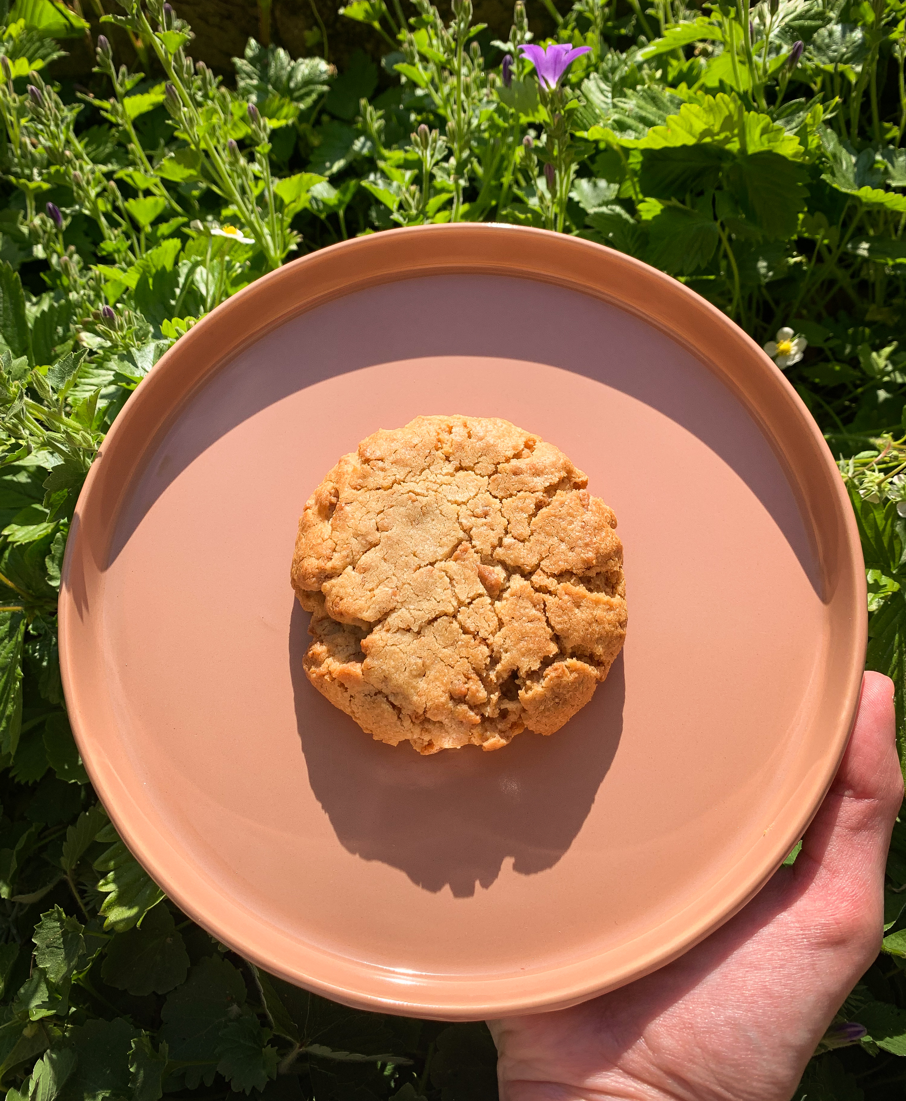 Cookie gourmand speculoos