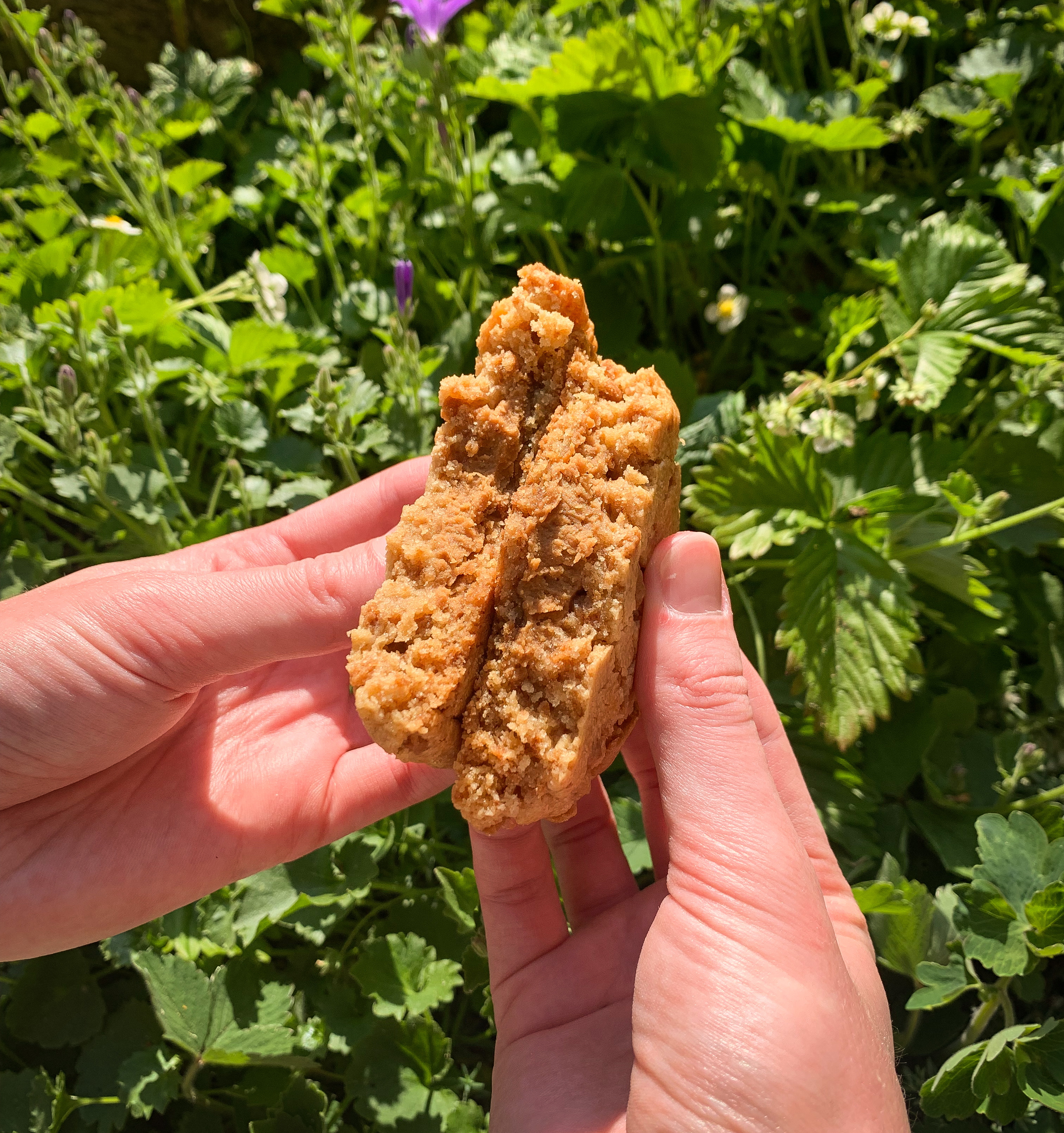 Cookie gourmand speculoos