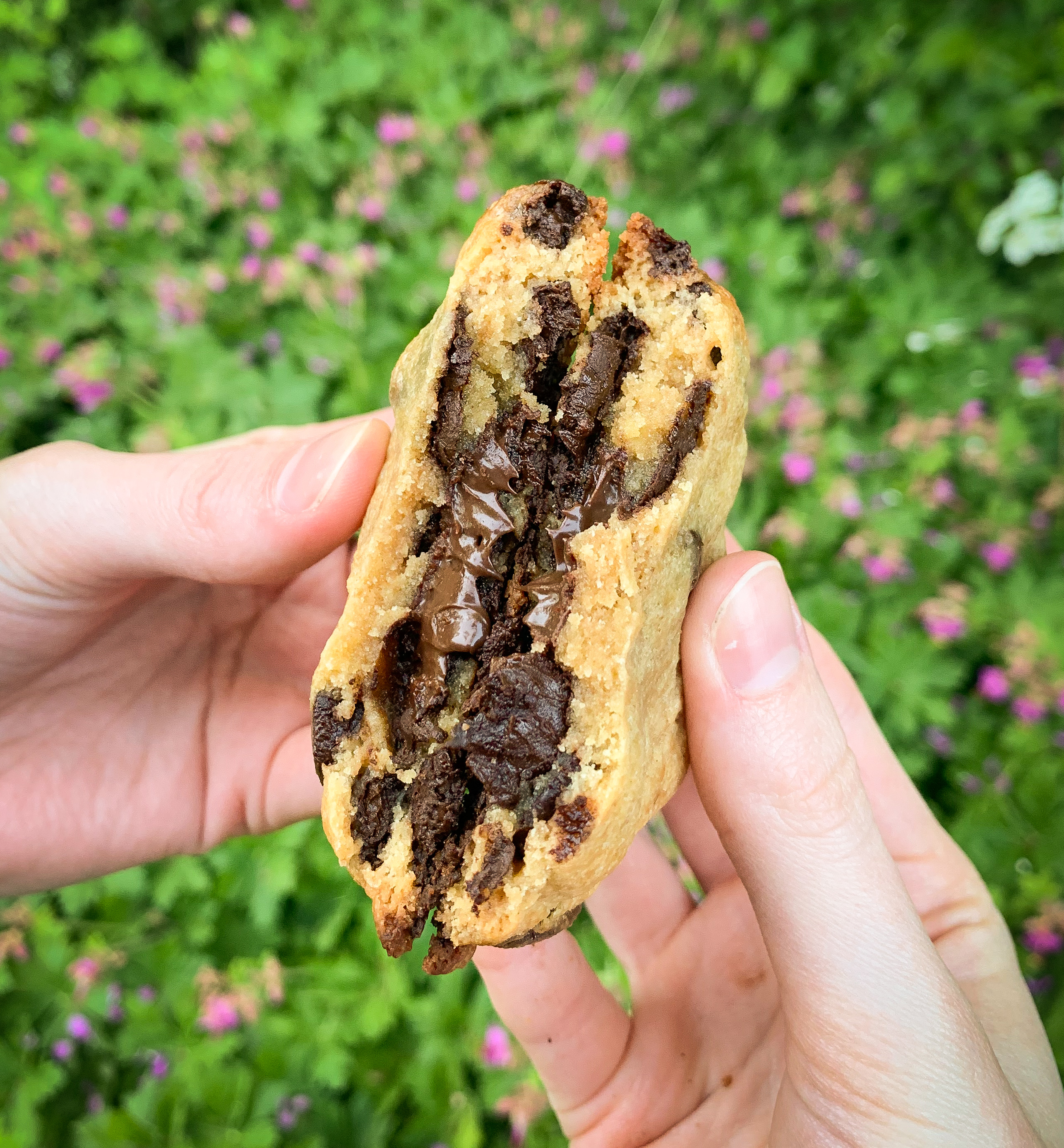 Cookie gourmand chocolat