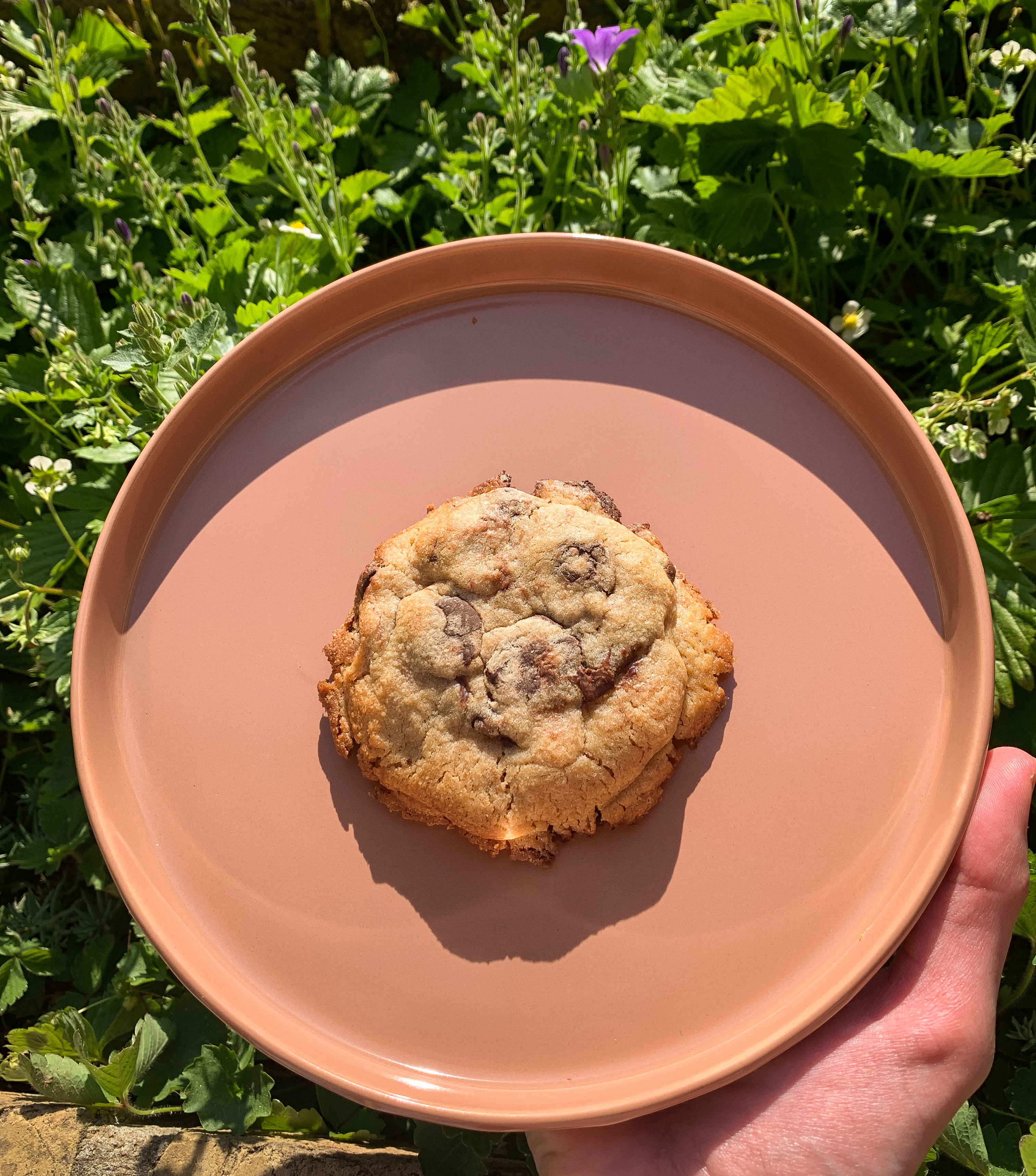 Cookie gourmand chocolat
