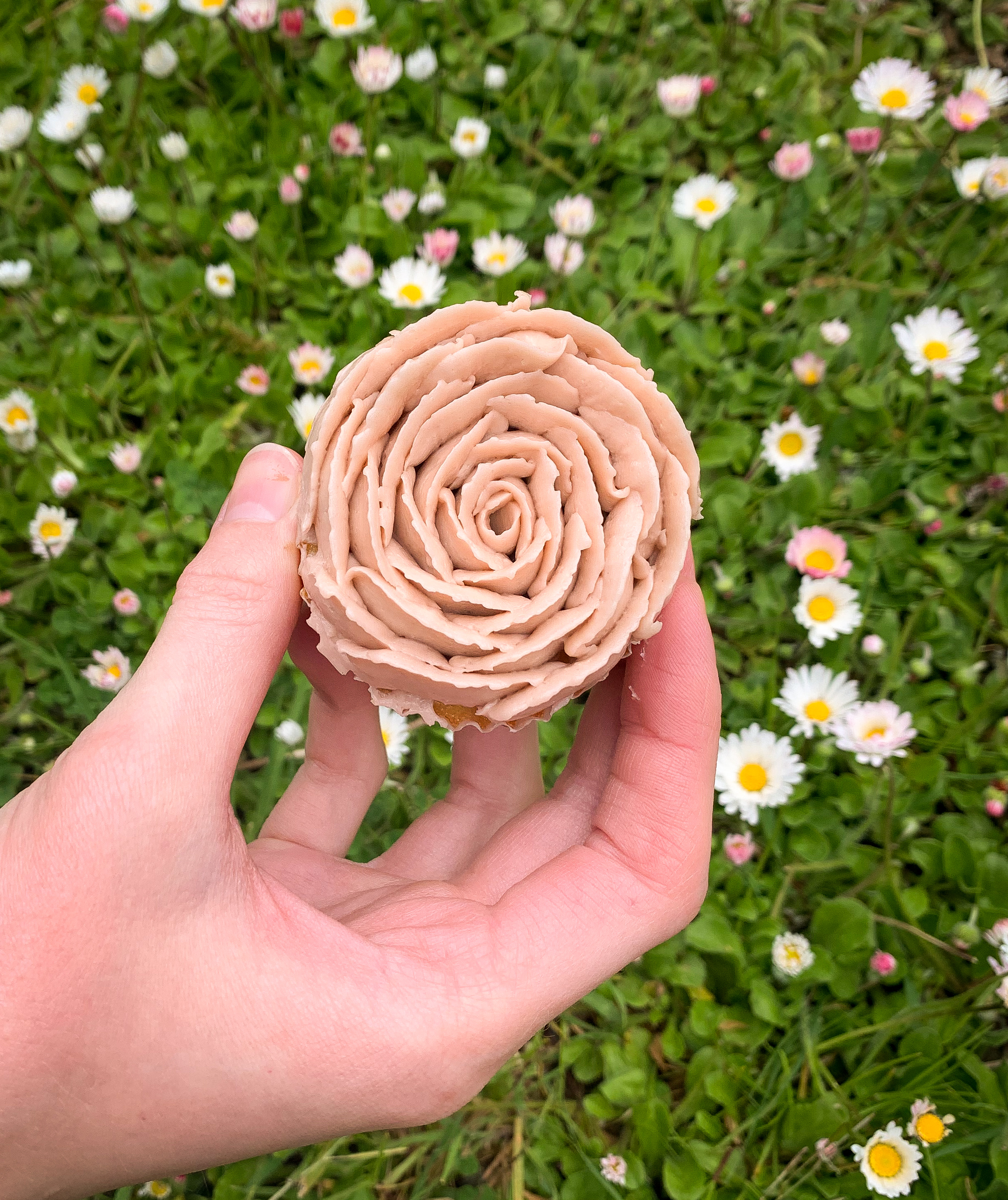 Cupcake Rose