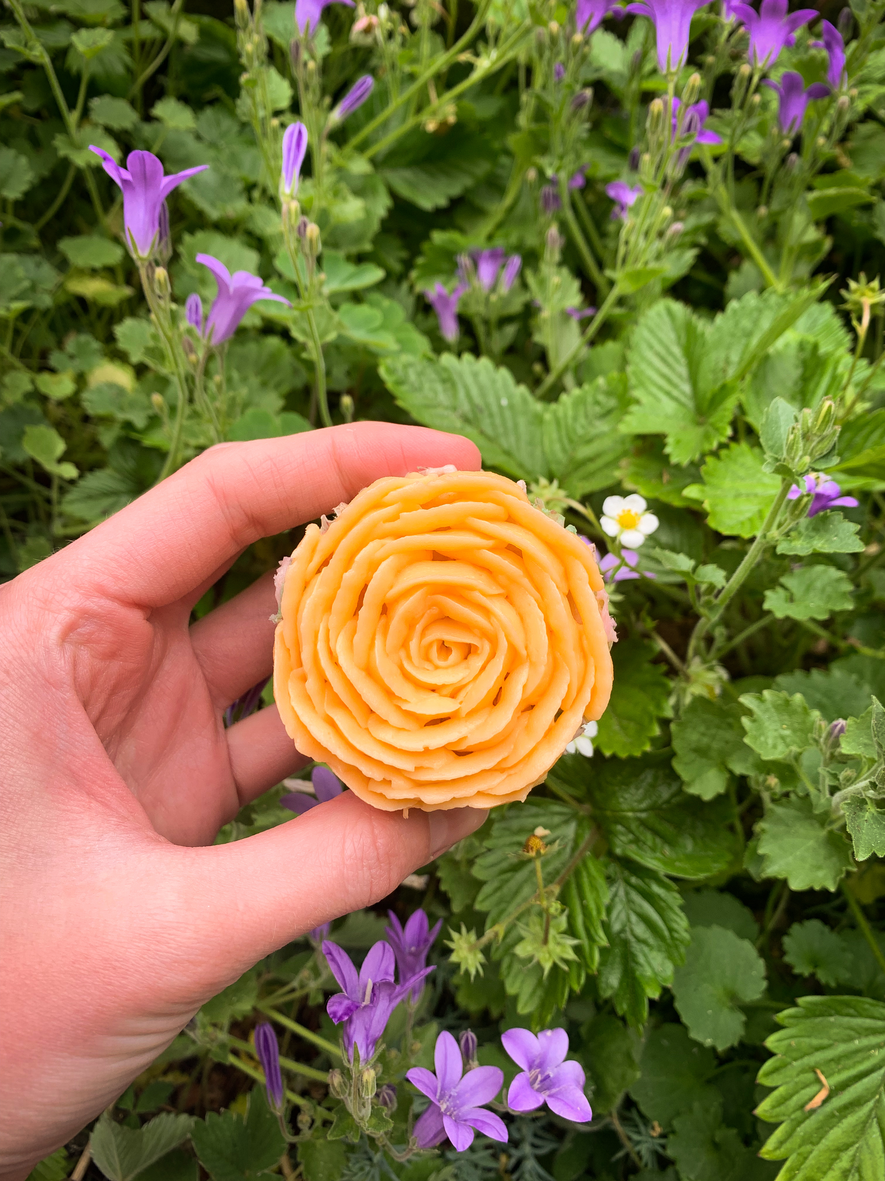Cupcake Rose