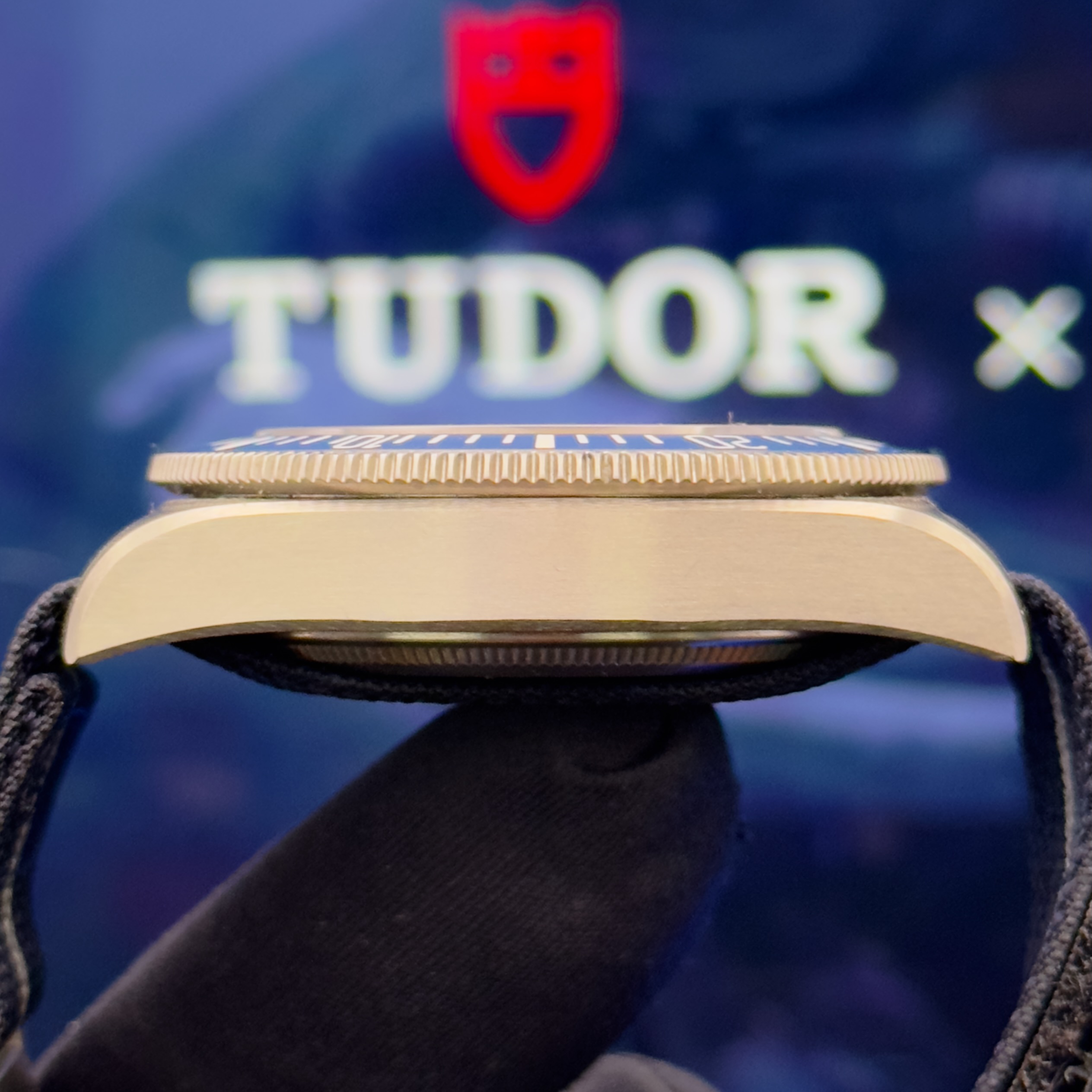 Tudor Pelagos FXD Titanium (French Navy)