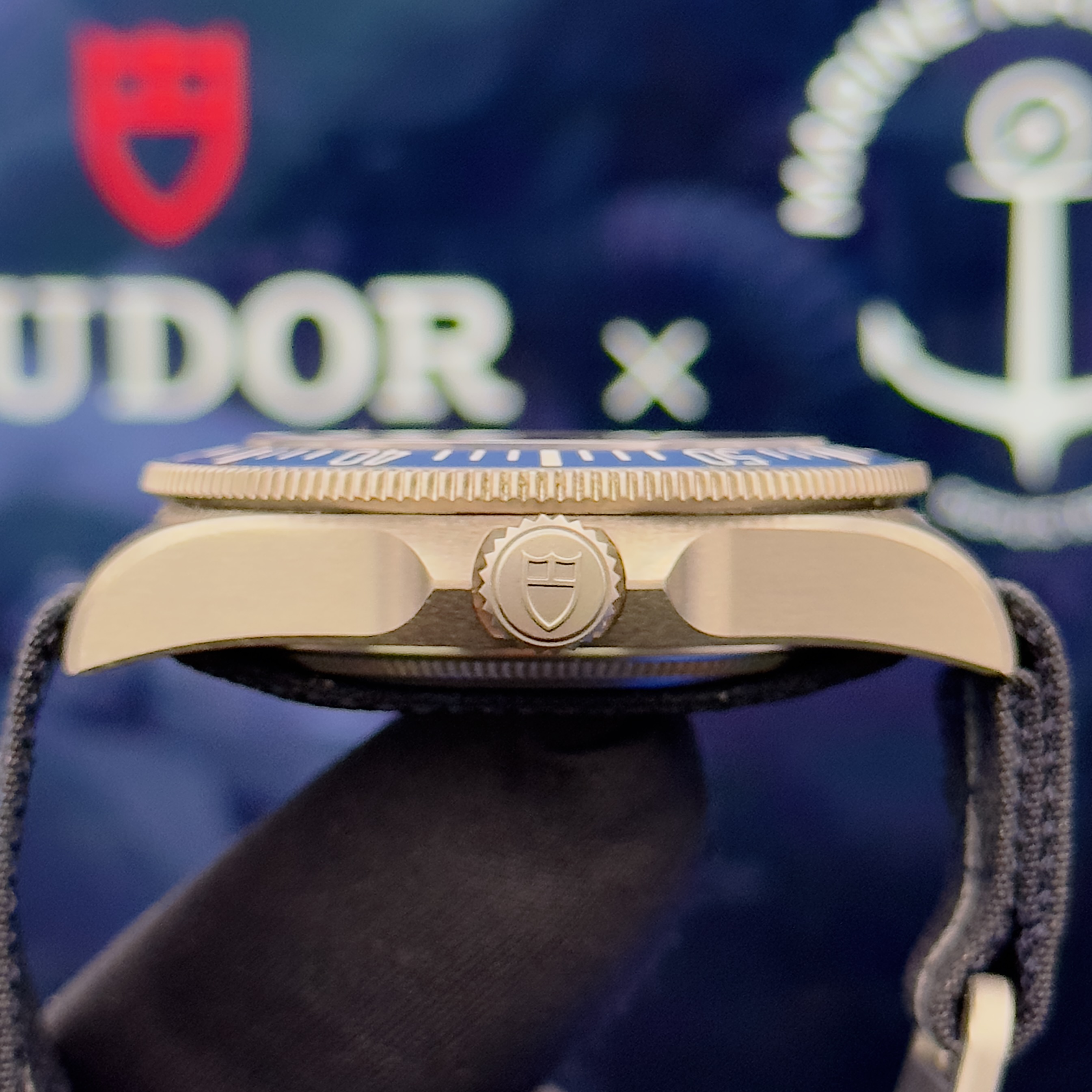 Tudor Pelagos FXD Titanium (French Navy)