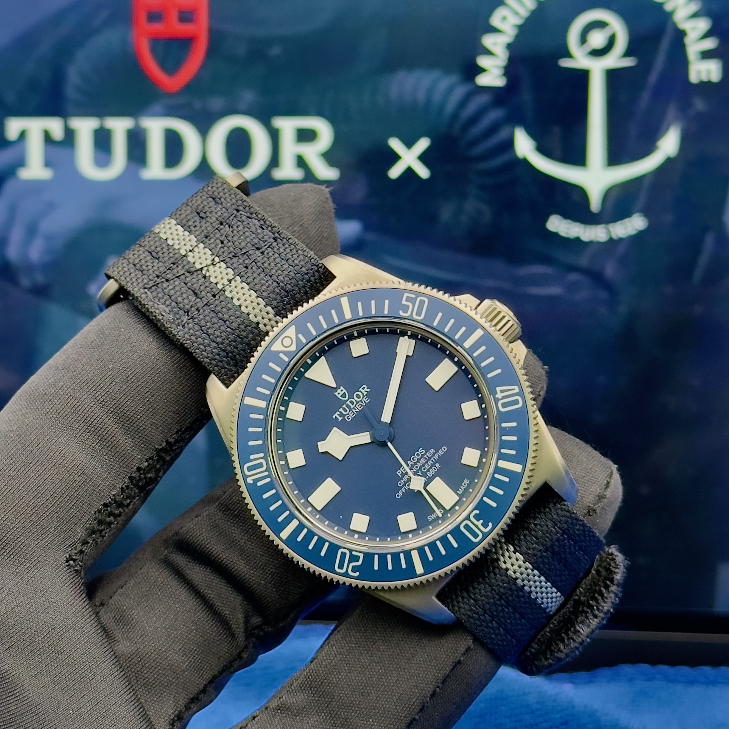 Tudor Pelagos FXD Titanium (French Navy)